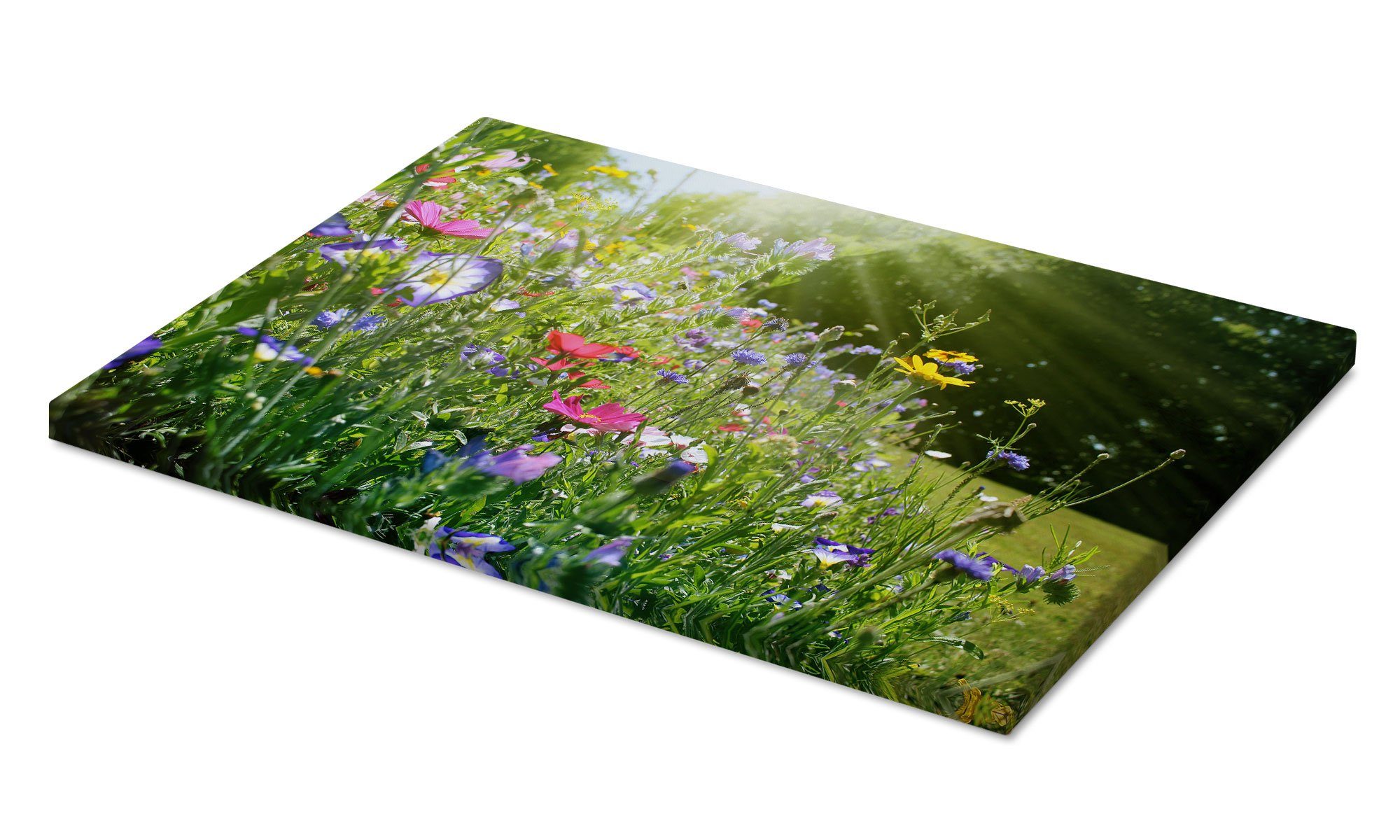 Posterlounge Wandbild Auf einer sonnigen Wildblumenwiese, Lichtspielart, erhältlich als Poster, Leinwandbild, Wandsticker oder Acrylglasbild – Bild 2 von 5