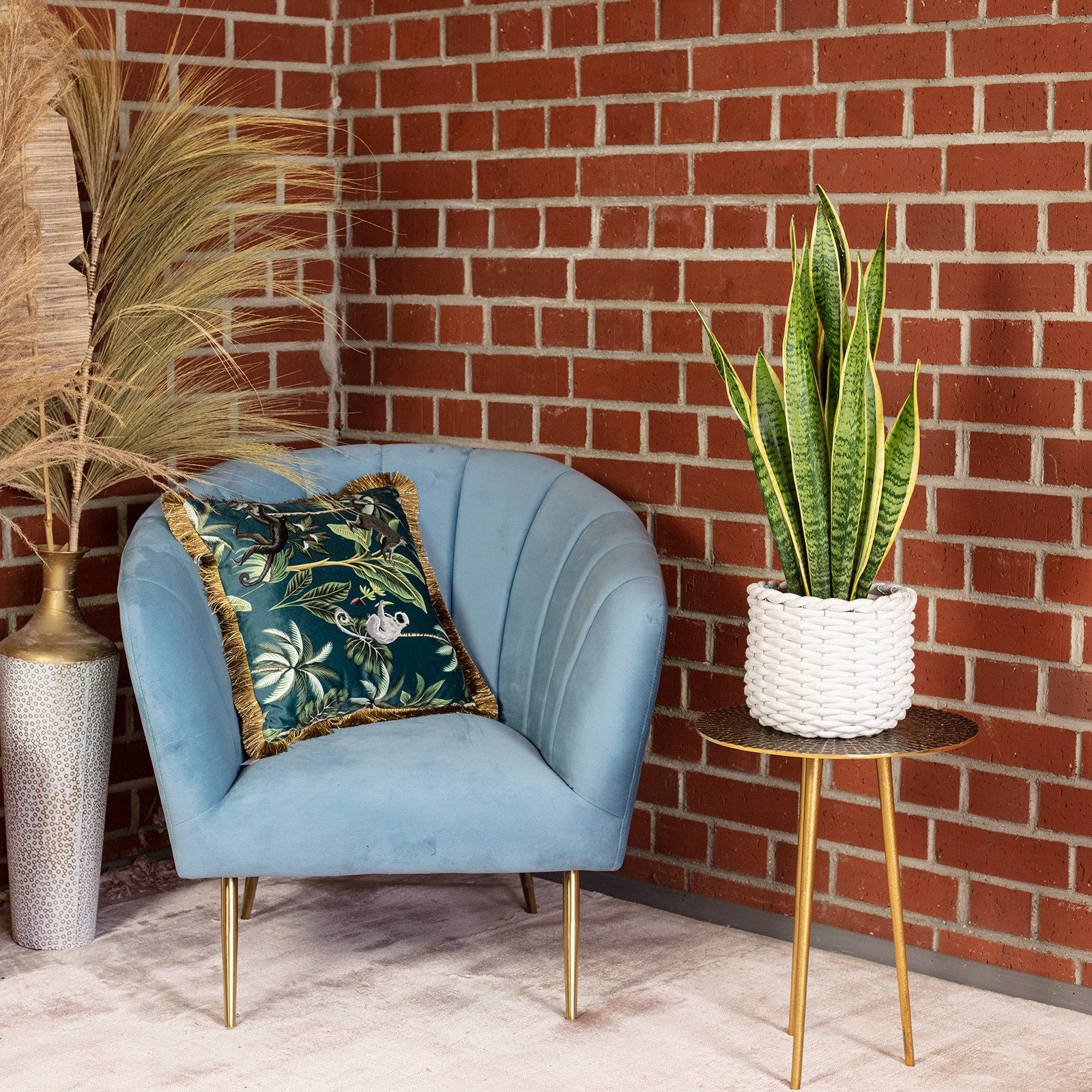 Flowerbox Zimmerpflanze Bogenhanf - Sansevieria trifasciata Laurentii, echte Zimmerpflanze, pflegeleicht - Höhe ca. 65 cm, Topf-Ø 17 cm