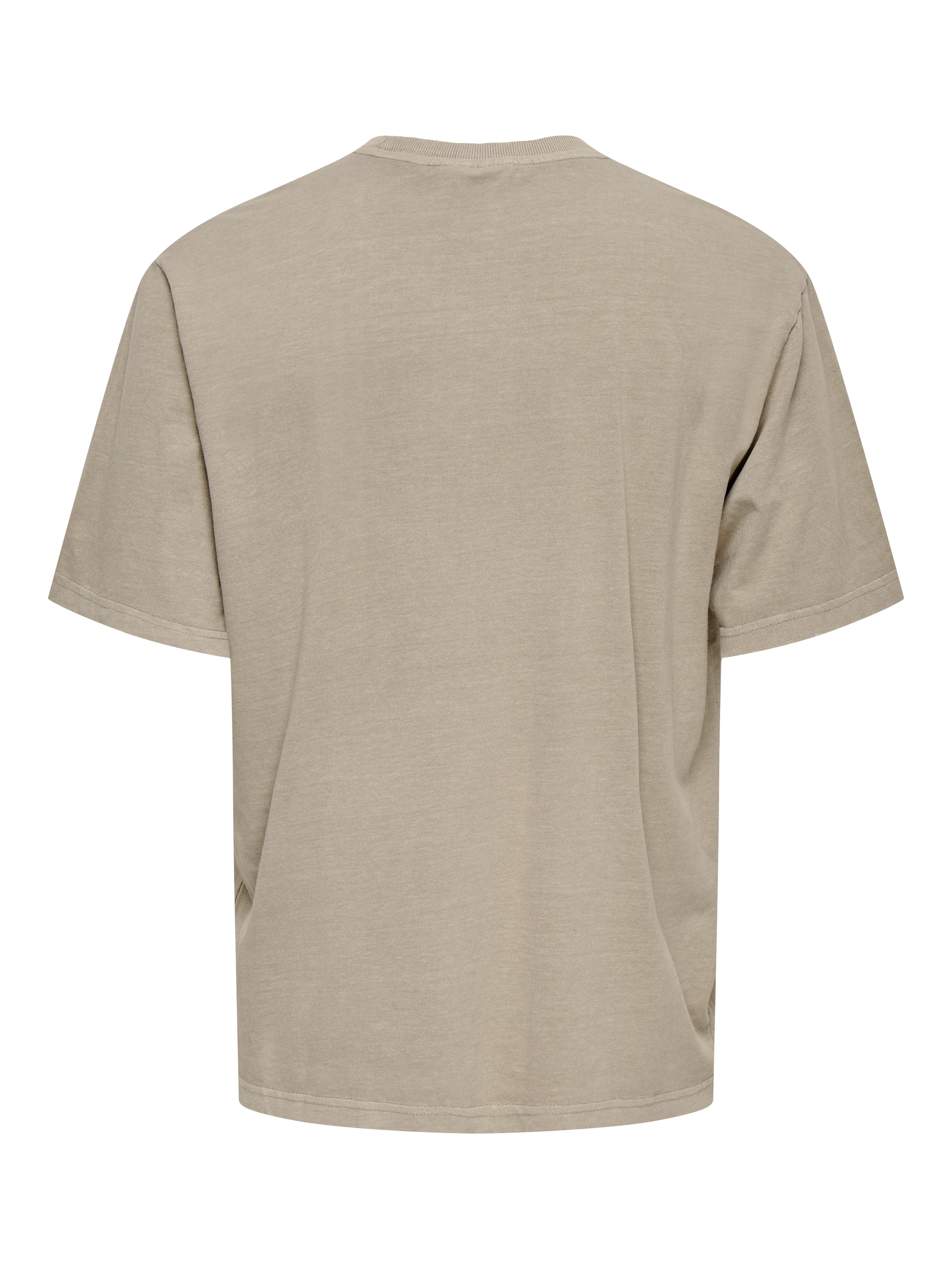 ONLY & SONS Rundhalsshirt ONSDISTRESS RLX SS TEE