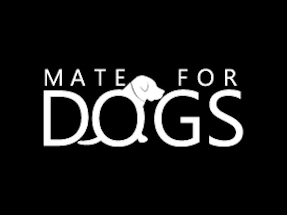 Mate for dogs