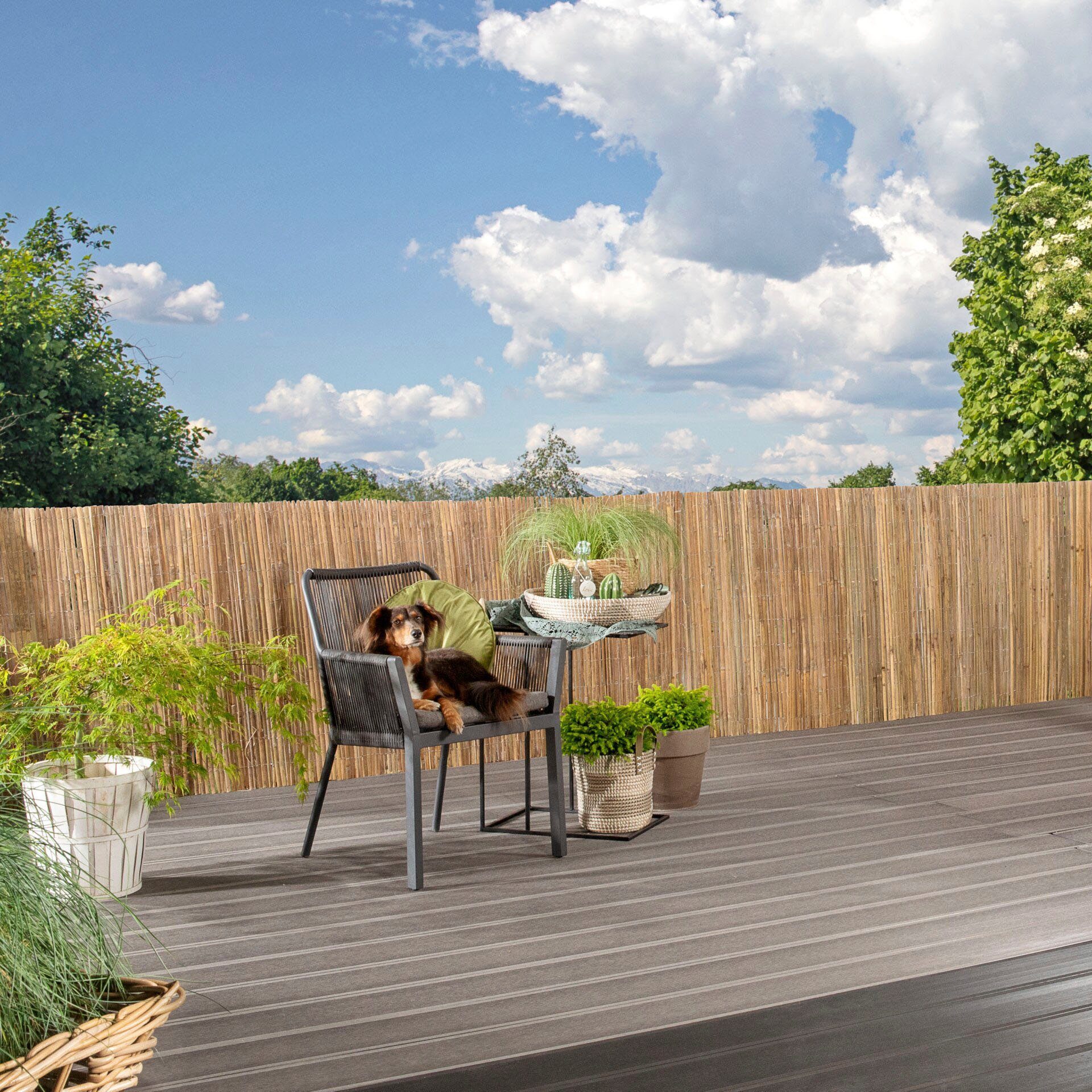 Thumbnail - Windhager Sichtschutzzaunmatten, natürlicher Sicht- und Windschutz für Balkon und Terrasse, L: 3 m