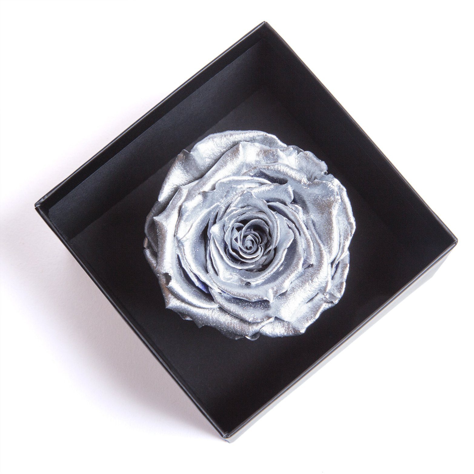 Heidelberg, Kunstblume SCHULZ mit Höhe 6.5 Infinity 1 haltbar 3 Jahre Jahre Rose Rose, in zu 3 Blumendeckel silber cm, haltbar Echte ROSEMARIE bis Rose Rose Box
