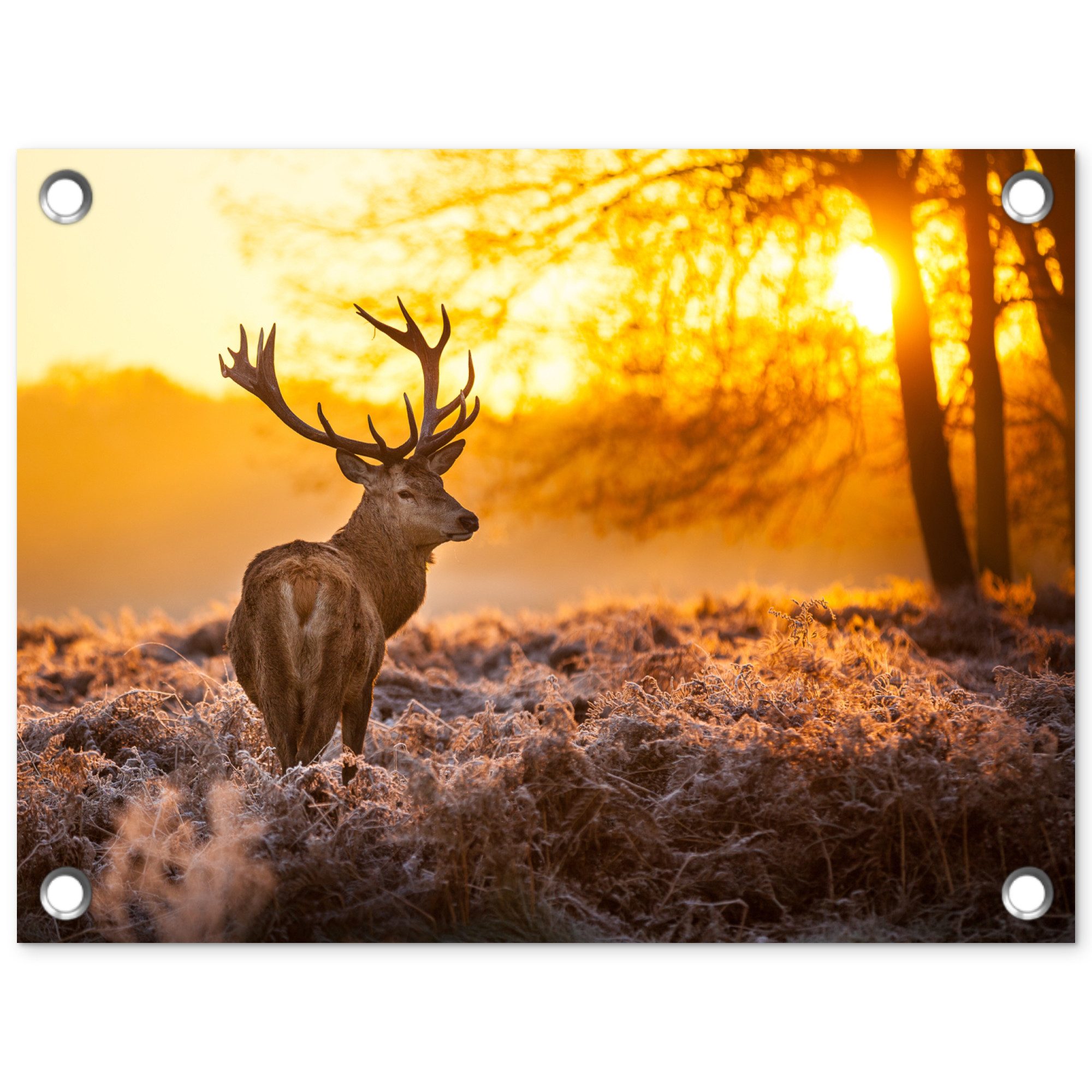 OnlyWow Poster für Garten Hirsche - Tiere - Sonnenuntergang - Winter - Heidekraut - N, Gartenposter, Outdoor Bilder, Gartendekoration Bild, 40x30 cm