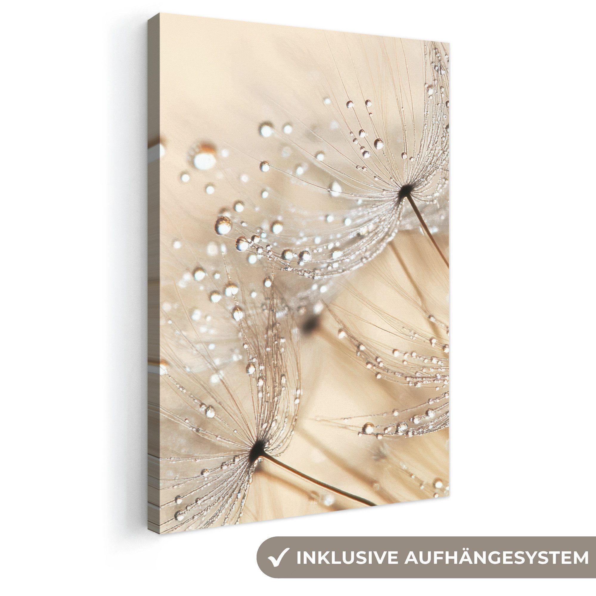 OneMillionCanvasses® Leinwandbild Löwenzahn - Abstrakt - Natur - Beige, Fotodruck (1 St), Leinwand Canvas Wandbild, Wanddekoration 20x30 cm