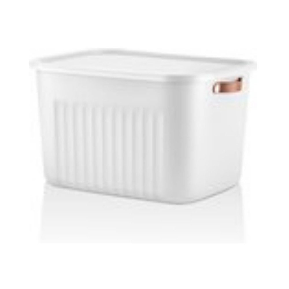 Luxury Bites Aufbewahrungsbox mit Deckel, 20L-15L -10L BPA-freie Kunststoff, nestbar und stapelbar (6 Farben, 9 Farbkombiationen, 3er Set)