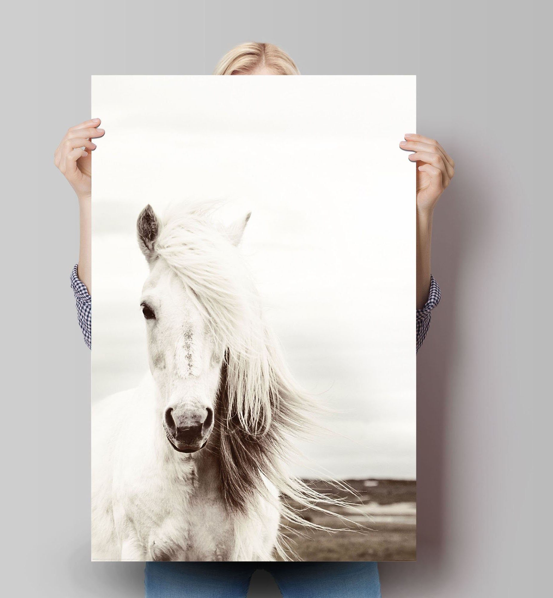 Reinders! Poster Poster Weißes (1 St) Pferde Pferd