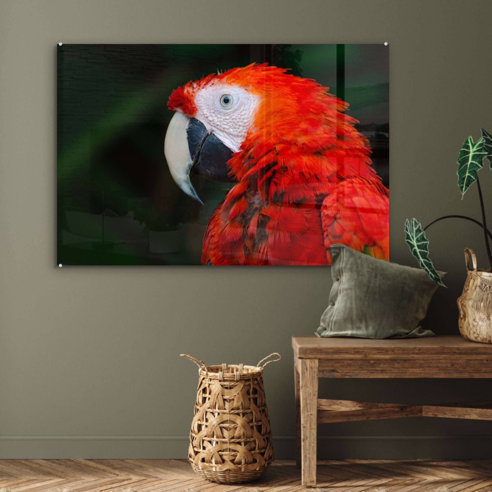 & Tiere Schlafzimmer Acrylglasbilder MuchoWow - Papagei, Wohnzimmer - (1 St), Vogel Acrylglasbild