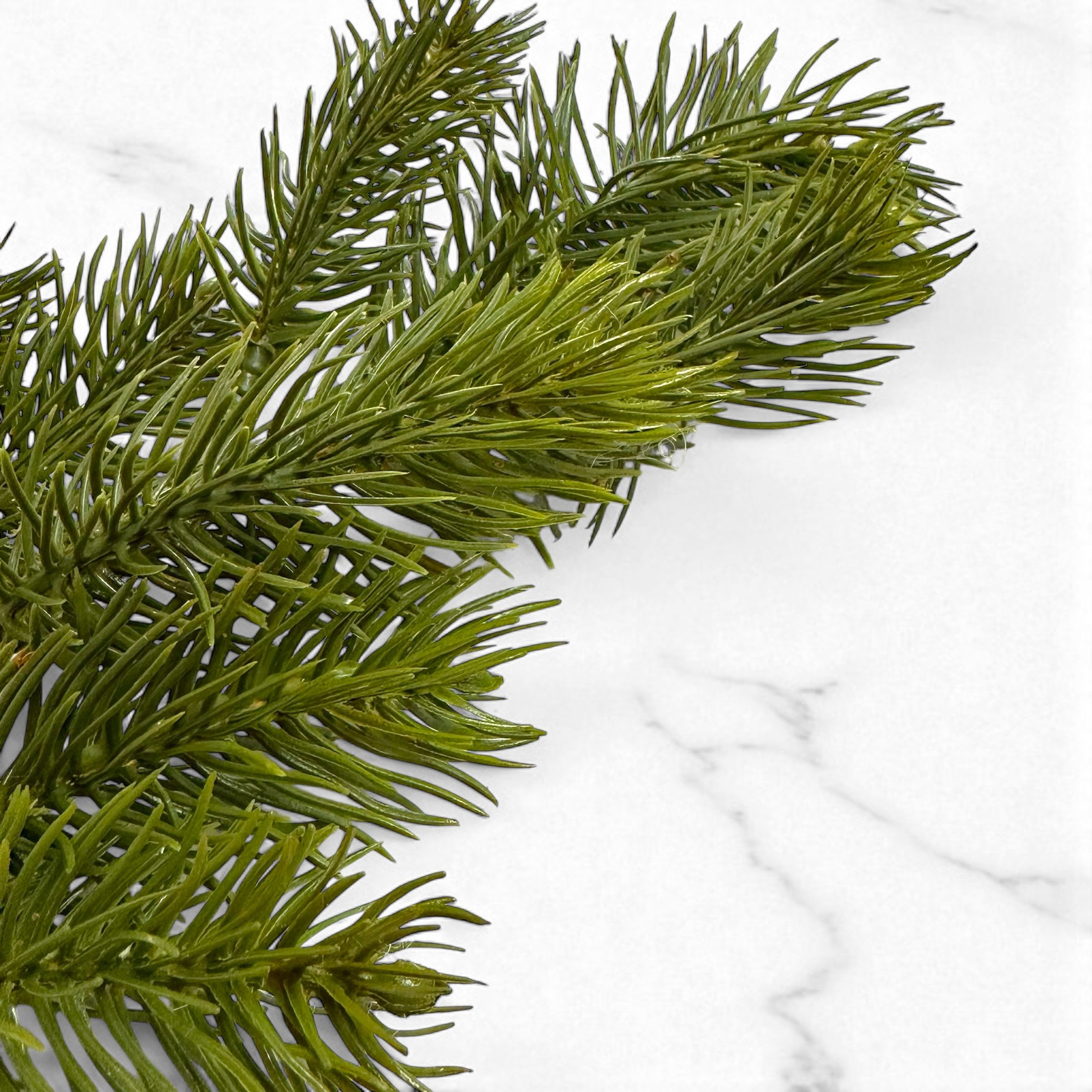 Kunstzweig Künstlicher Tannenzweig "REAL" mit 8 Trieben. Ca 40cm., Gasper, günstig online kaufen