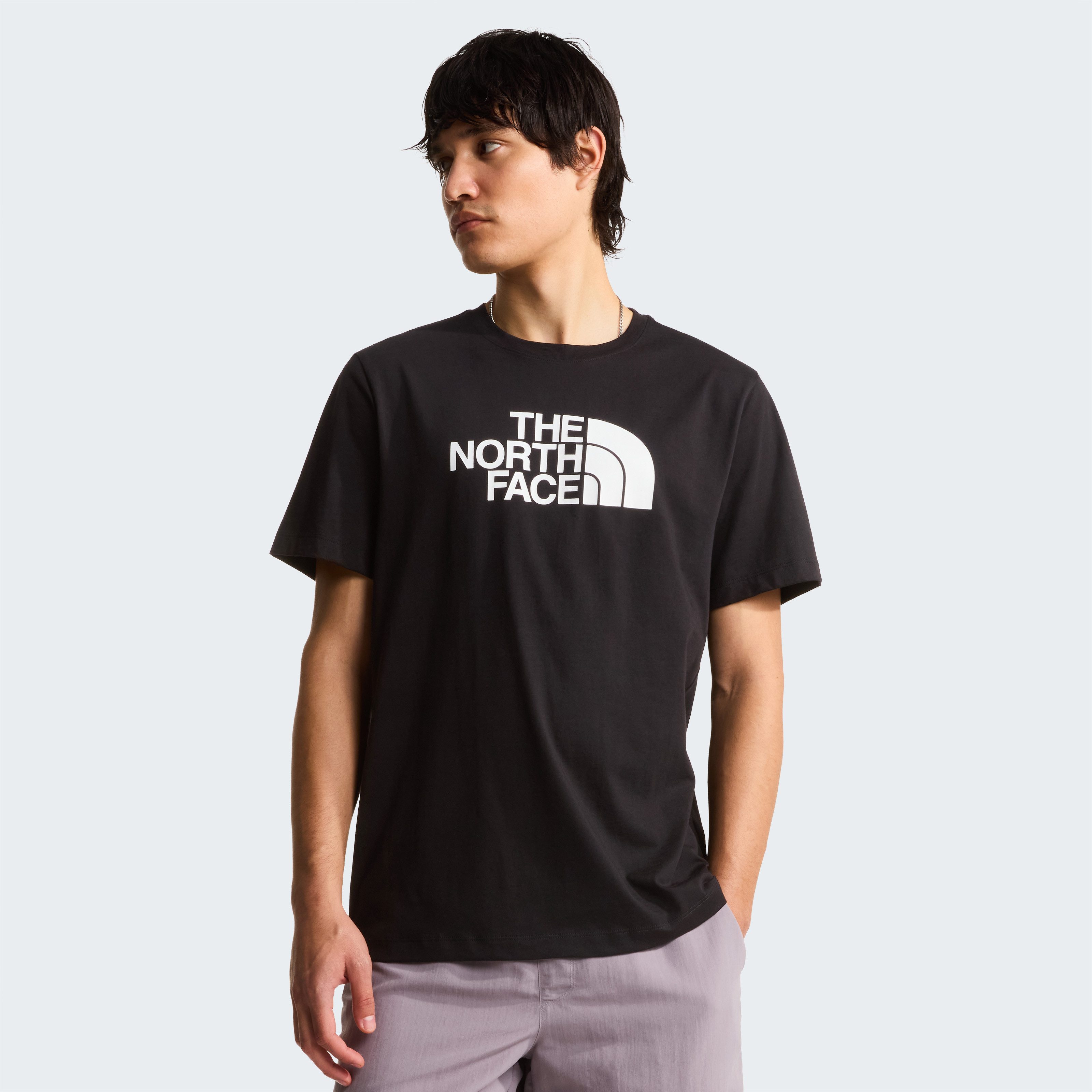 The North Face T-Shirt M EVOLUTION HALF DOME REGULAR SHORT SLEEVE TEE sportliche Passform, kurze Ärmel, für Sportmode und Outdoormode