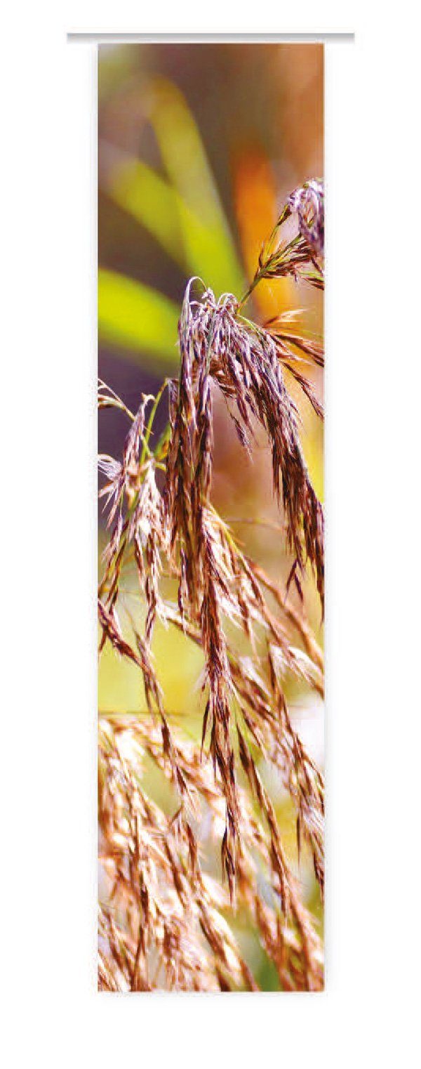 Schiebegardine Herbstgras Flächenvorhang - HxB 260x60 cm - B-line, gardinen-for-life