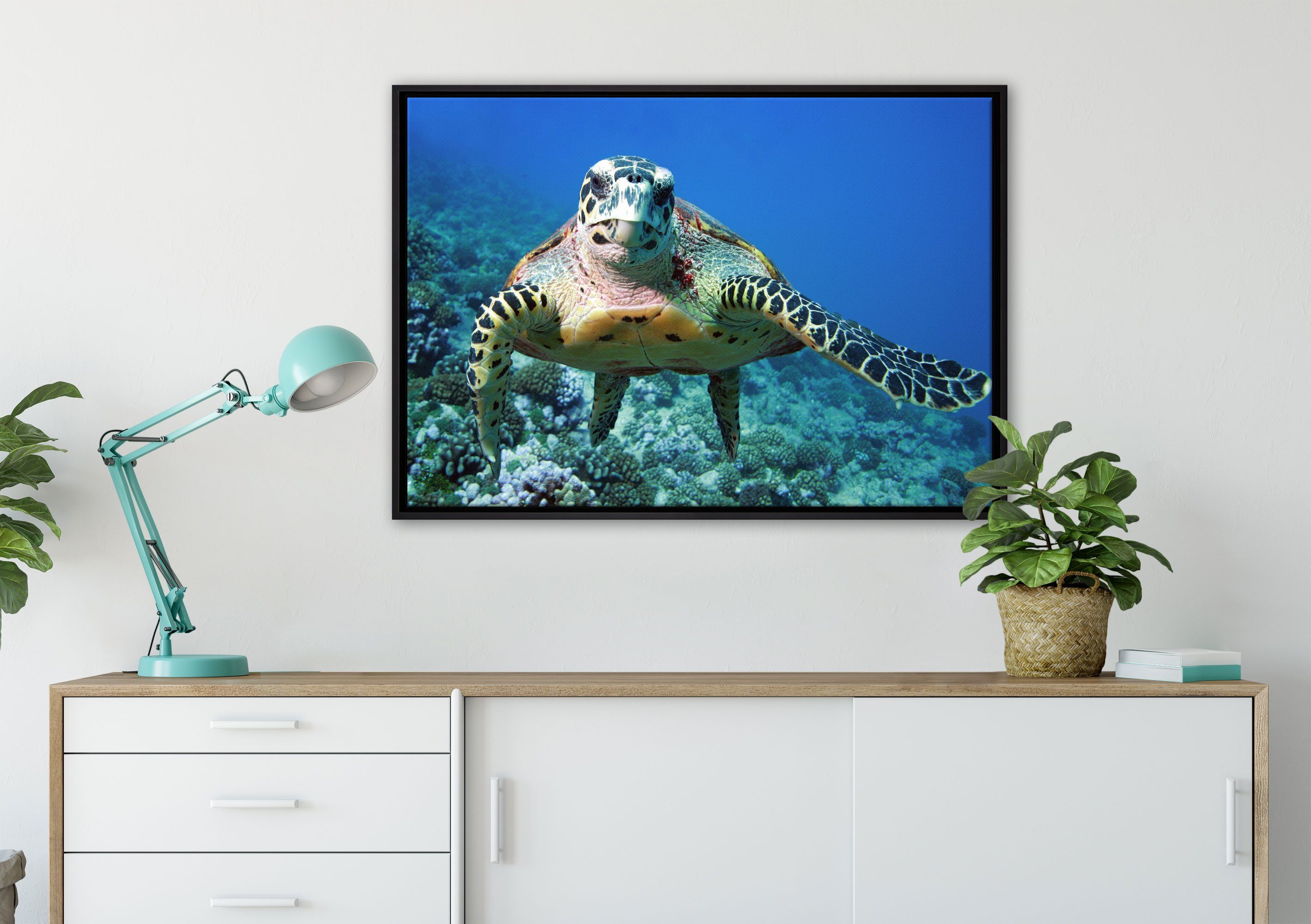 in Wanddekoration bespannt, einem Leinwandbild Korallenriff, Schattenfugen-Bilderrahmen Schildkröte Leinwandbild St), gefasst, Pixxprint Zackenaufhänger (1 fertig inkl.
