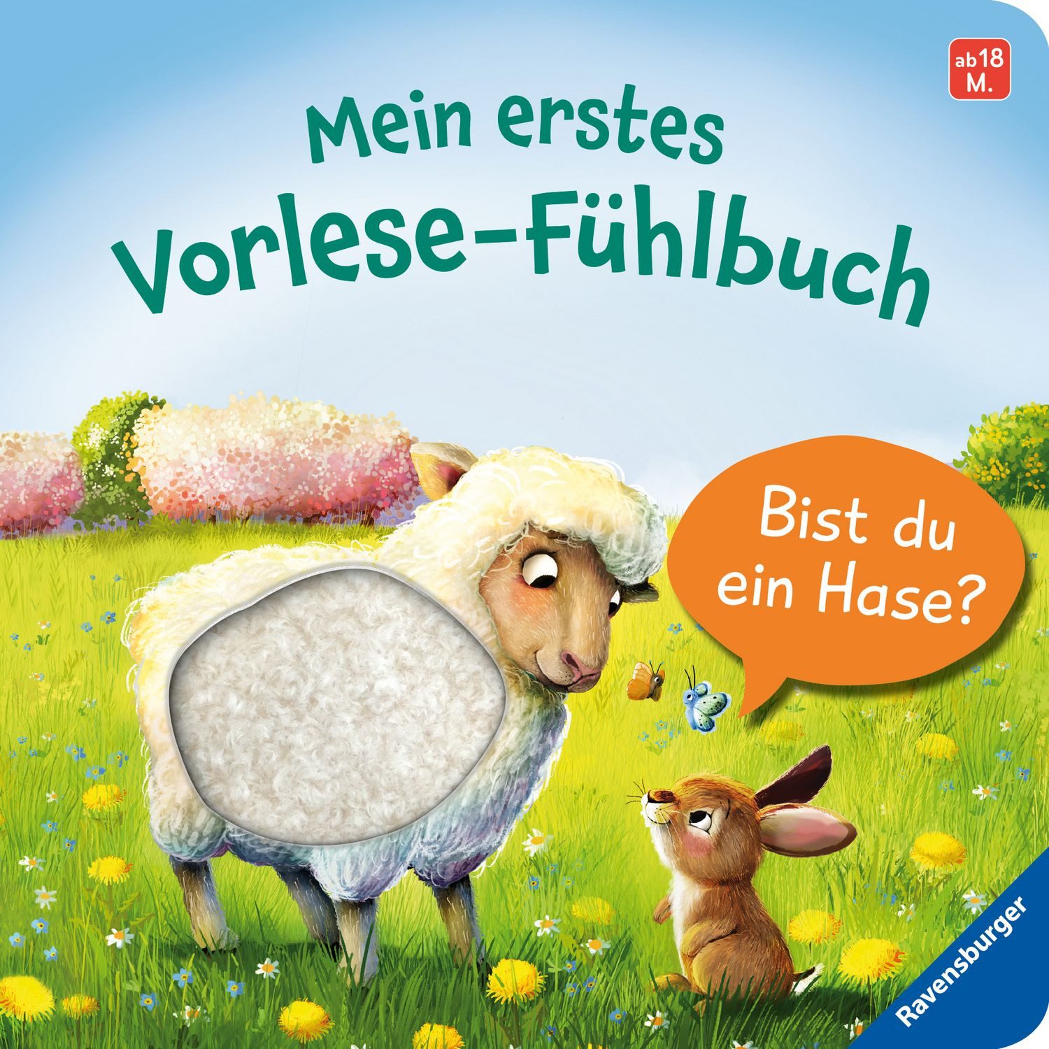 Kinderbuch Mein erstes Vorlese-Fühlbuch - Bist du ein Hase? Kathrin Lena Orso