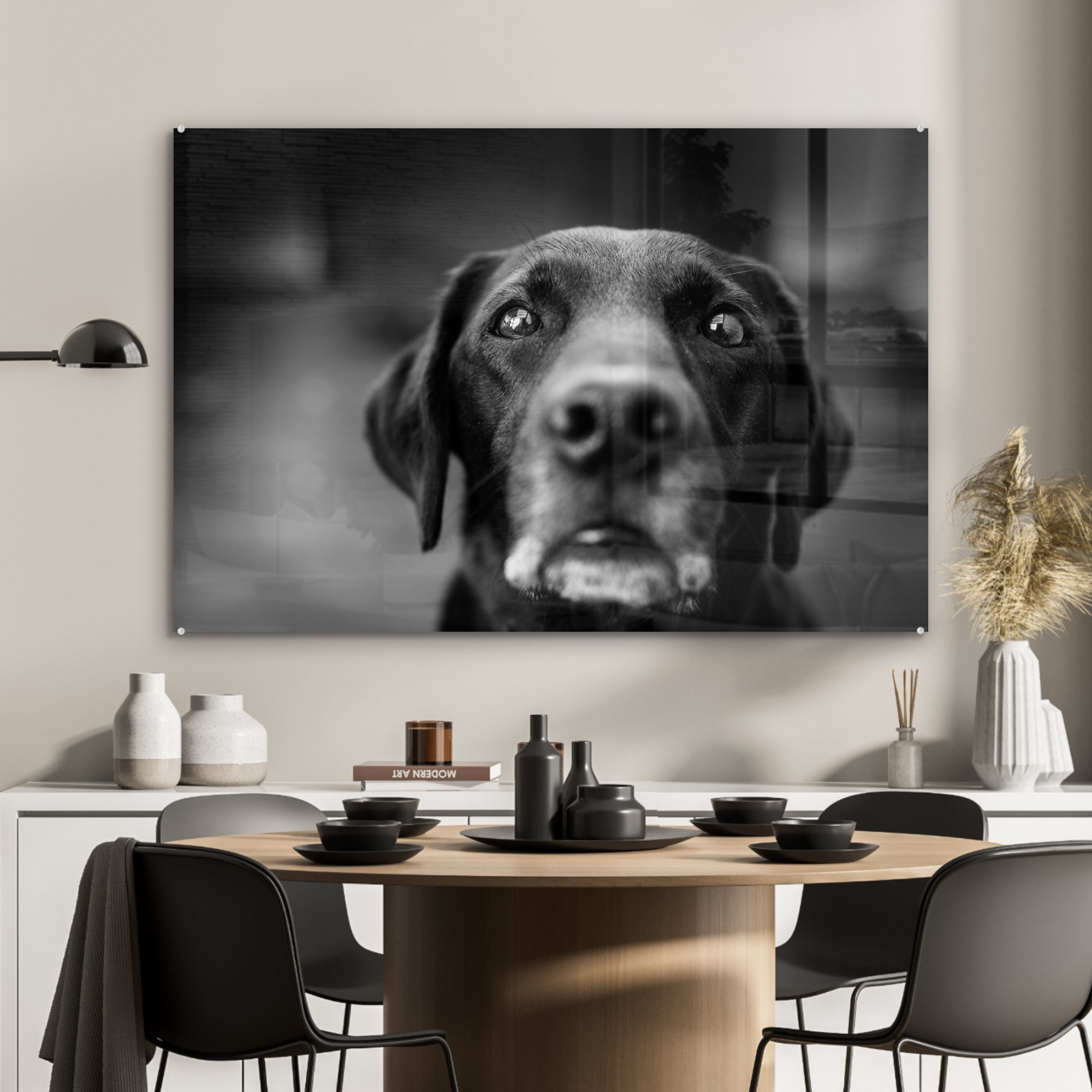 MuchoWow Acrylglasbilder & Acrylglasbild Schlafzimmer in Wohnzimmer (1 Labrador weiß, St), Tierprofil schwarz und Hund
