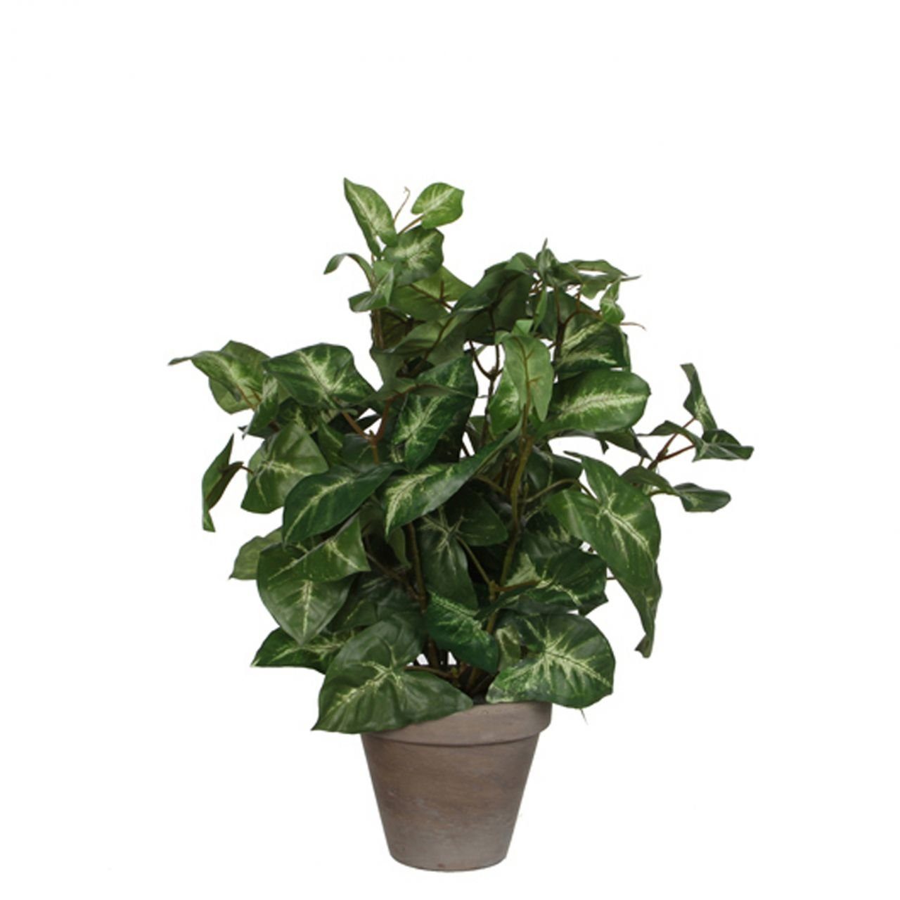 Kunstpflanze Mica Kunstpflanze Syngonium grün im Topf 35 x 25, Mica