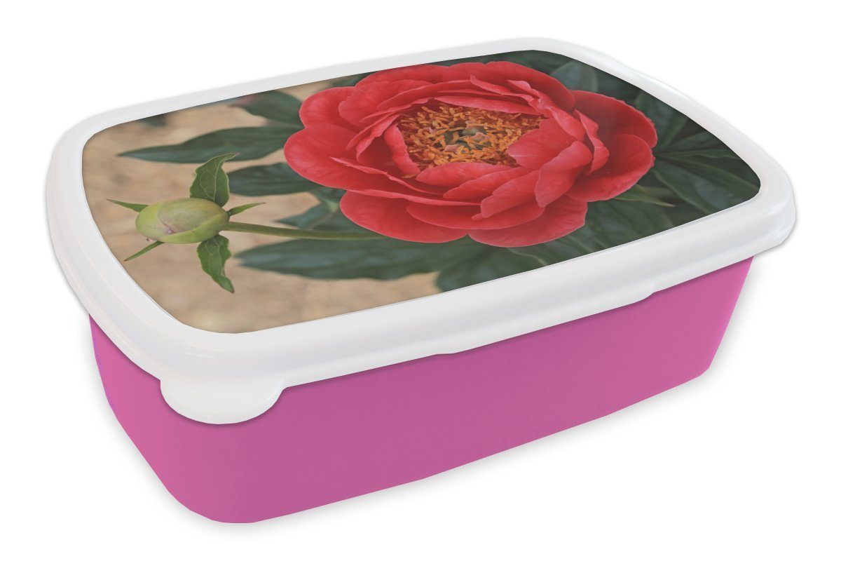 Lunchbox Kunststoff, Eine und rote rosa (2-tlg), MuchoWow Erwachsene, für Knospe, eine Mädchen, Snackbox, Kinder, Brotbox Kunststoff Brotdose Pfingstrose