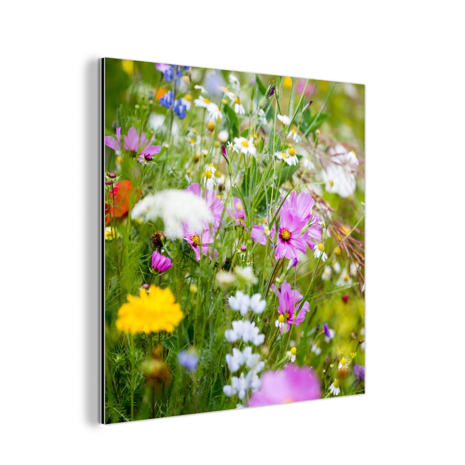 MuchoWow Metallbild Blumen - Natur - Grün - Gras - Lila - Weiß, (1 St), Alu-Dibond-Druck, Gemälde aus Metall, Aluminium deko