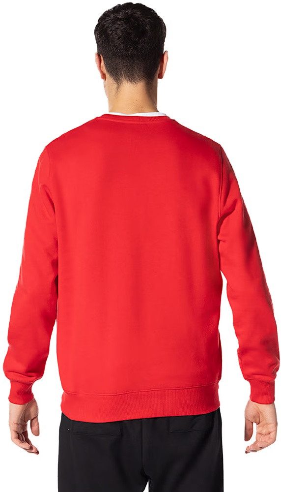 FC Bayern München Rundhalspullover Sweatshirt Essential günstig online kaufen