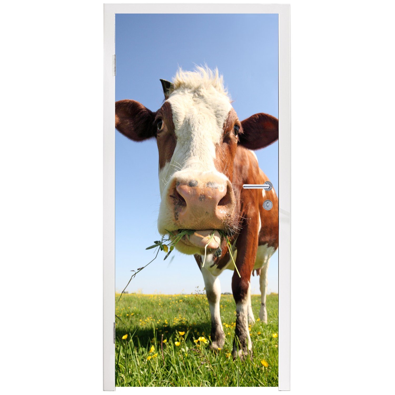 Tiere - Türtapete - Kuh - für MuchoWow Blumen Gras, 75x205 Matt, Tür, bedruckt, Fototapete (1 Türaufkleber, St), cm