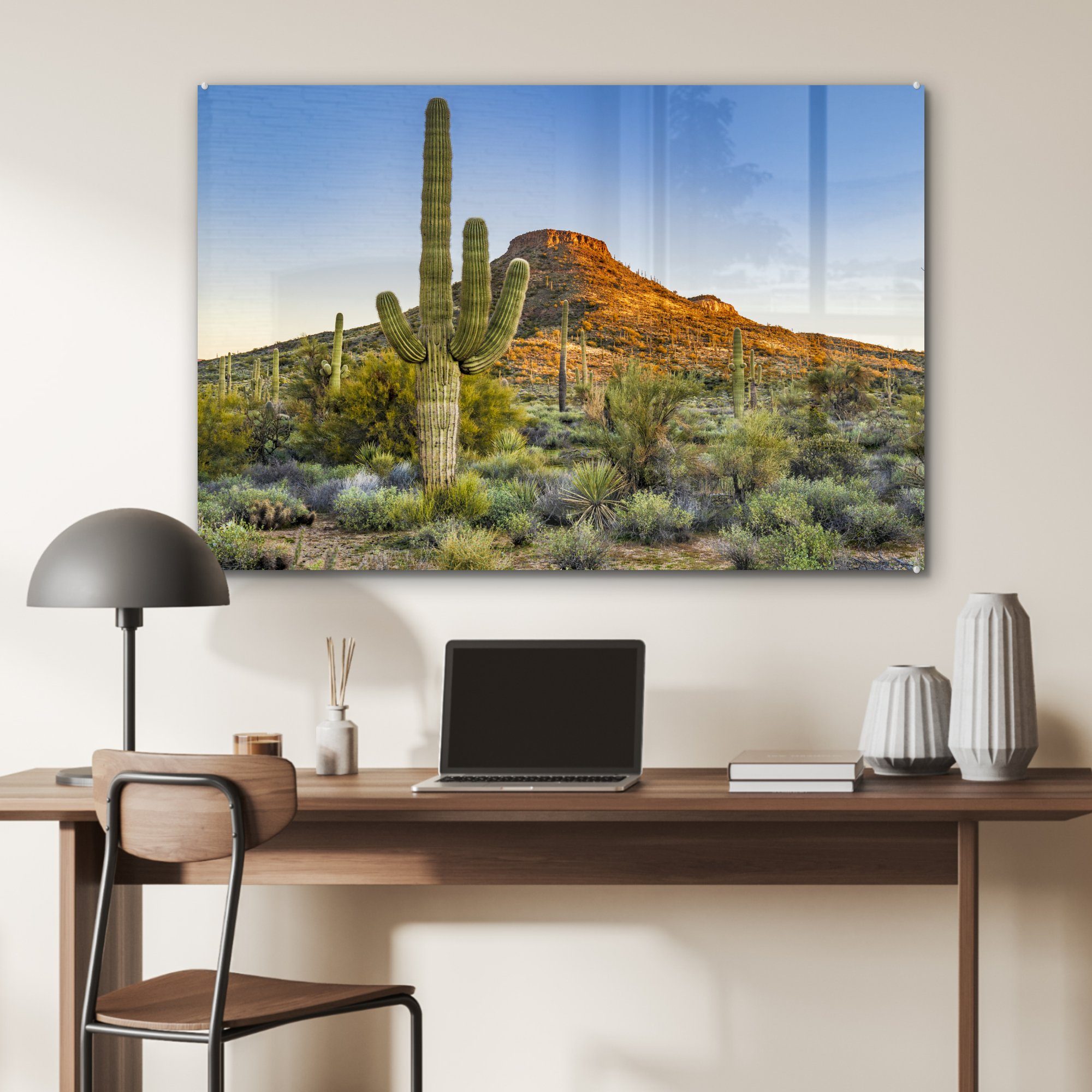 Acrylglasbild St), - Gebirge, - Acrylglasbilder & MuchoWow (1 Schlafzimmer Kaktus Pflanzen Wohnzimmer Wüste -