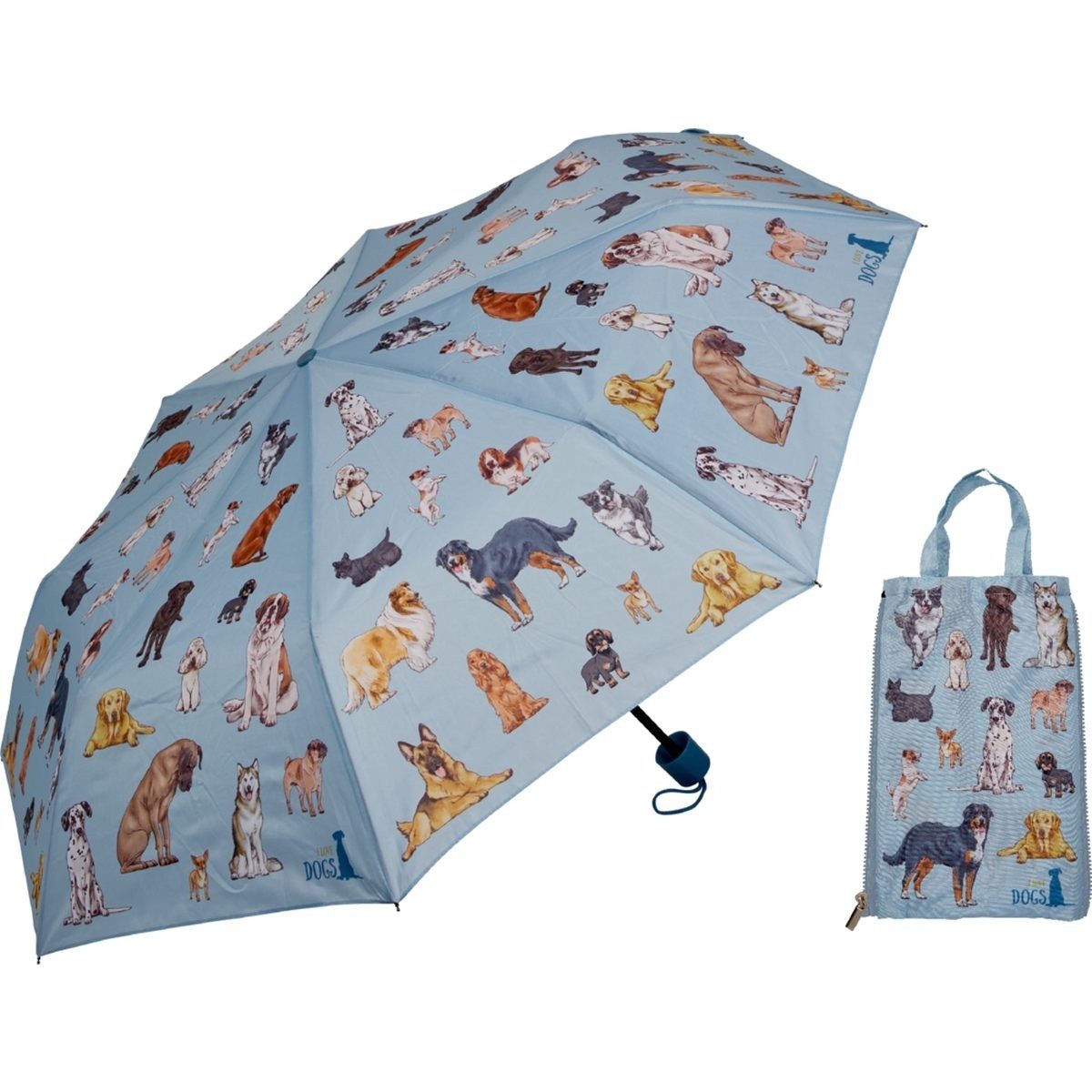 Taschenregenschirm Handlicher Regenschirm mit praktischer Duo Bag für unterwegs