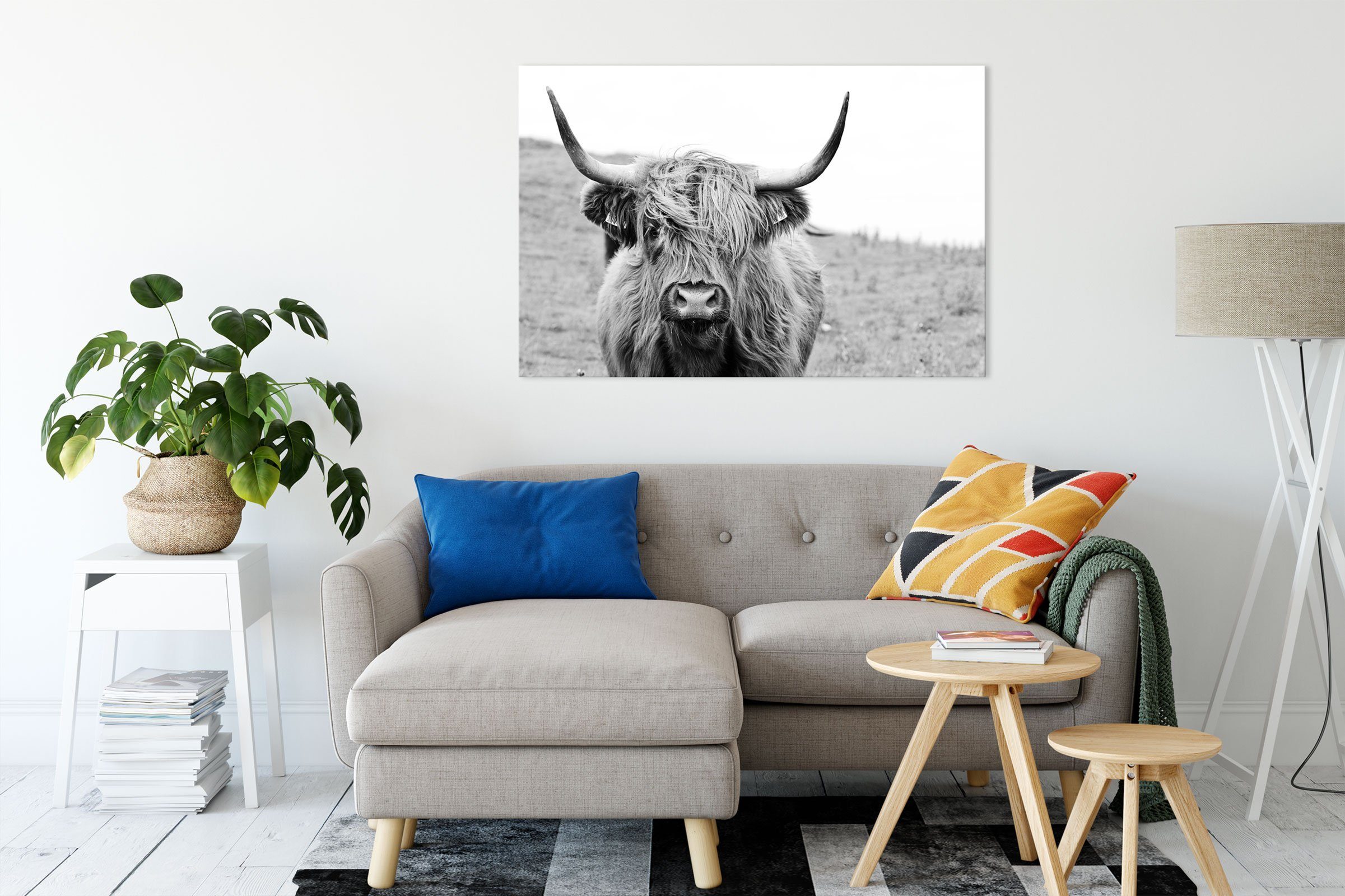 Pixxprint Leinwandbild Highlandrind frontal in Schwarz-Weiss, günstig online kaufen