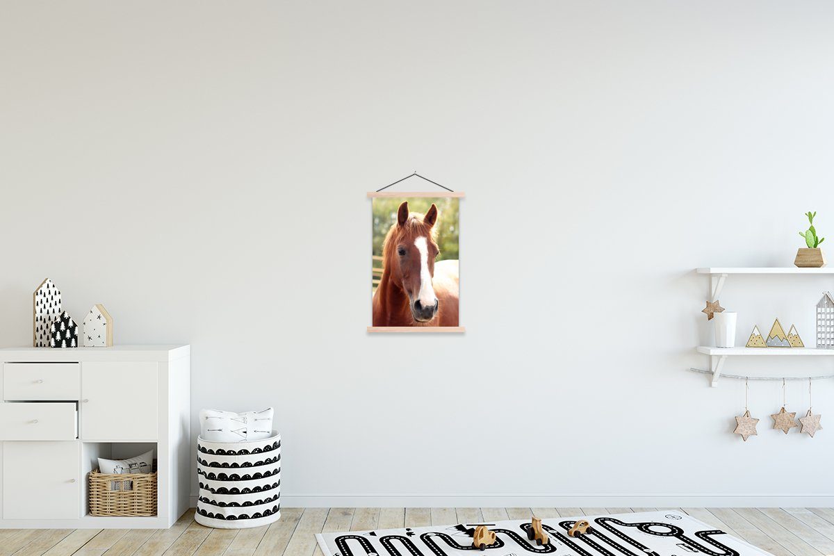 Textilposter (1 Pferd St), MuchoWow - Magnetisch Kontur, Poster - Tier Bilderleiste, Wohnzimmer, für Posterleiste,
