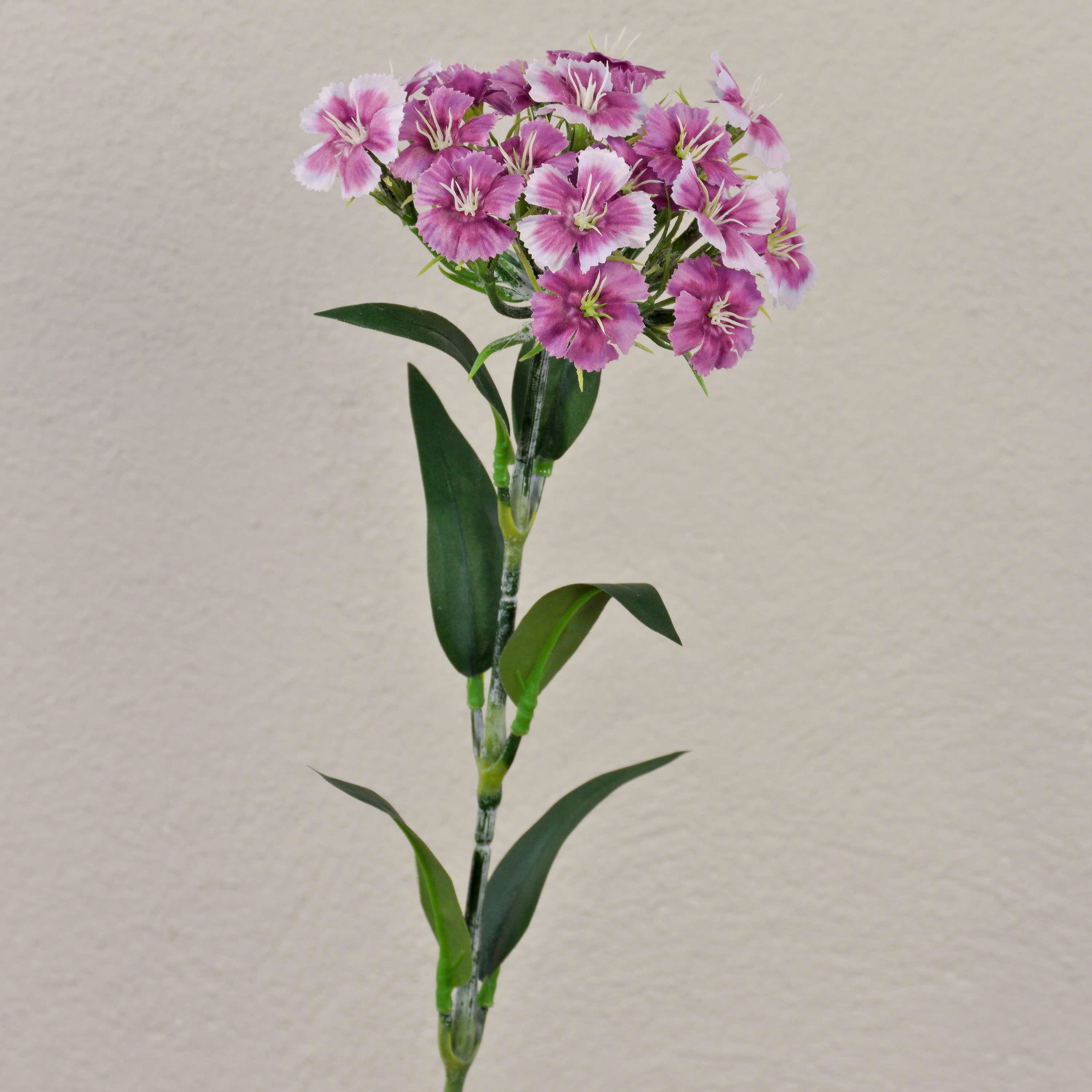 Kunstblume Künstliche Blume Bartnelke SUSILAWA, violett-weiß, 55cm Nelke (Bartnelke), artplants, Höhe 55.0 cm