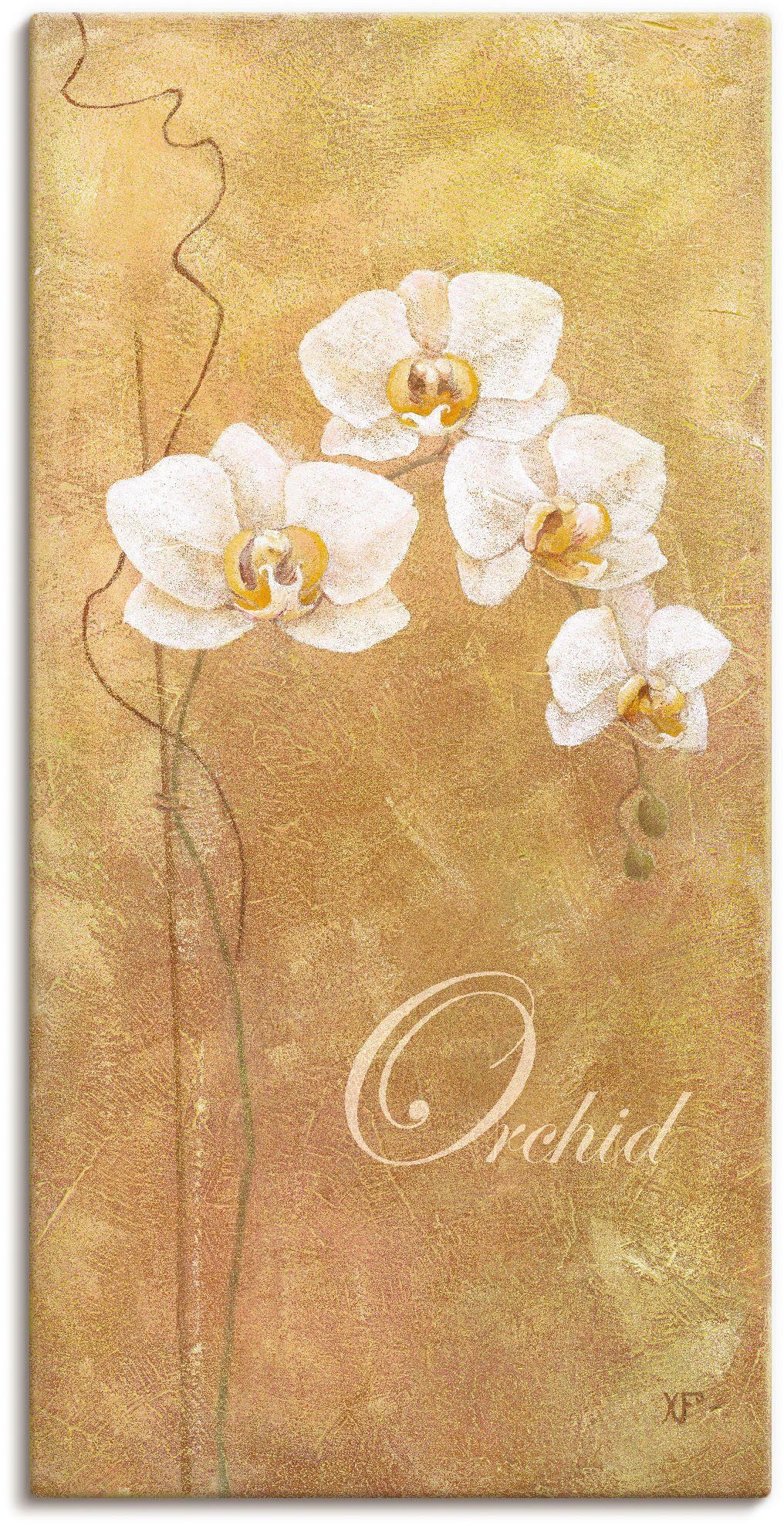 als Filigrane Wandaufkleber versch. (1 Blumen Größen St), Artland Leinwandbild, oder Alubild, Orchidee, Wandbild in Poster