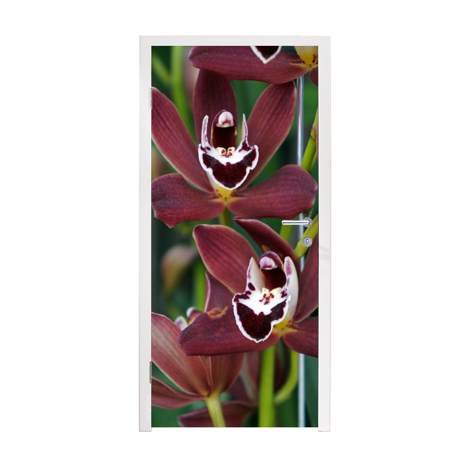 MuchoWow Türtapete Rote Orchideen für einen grünen Hintergrund, Matt, bedruckt, (1 St), Fototapete für Tür, Türaufkleber, 75x205 cm