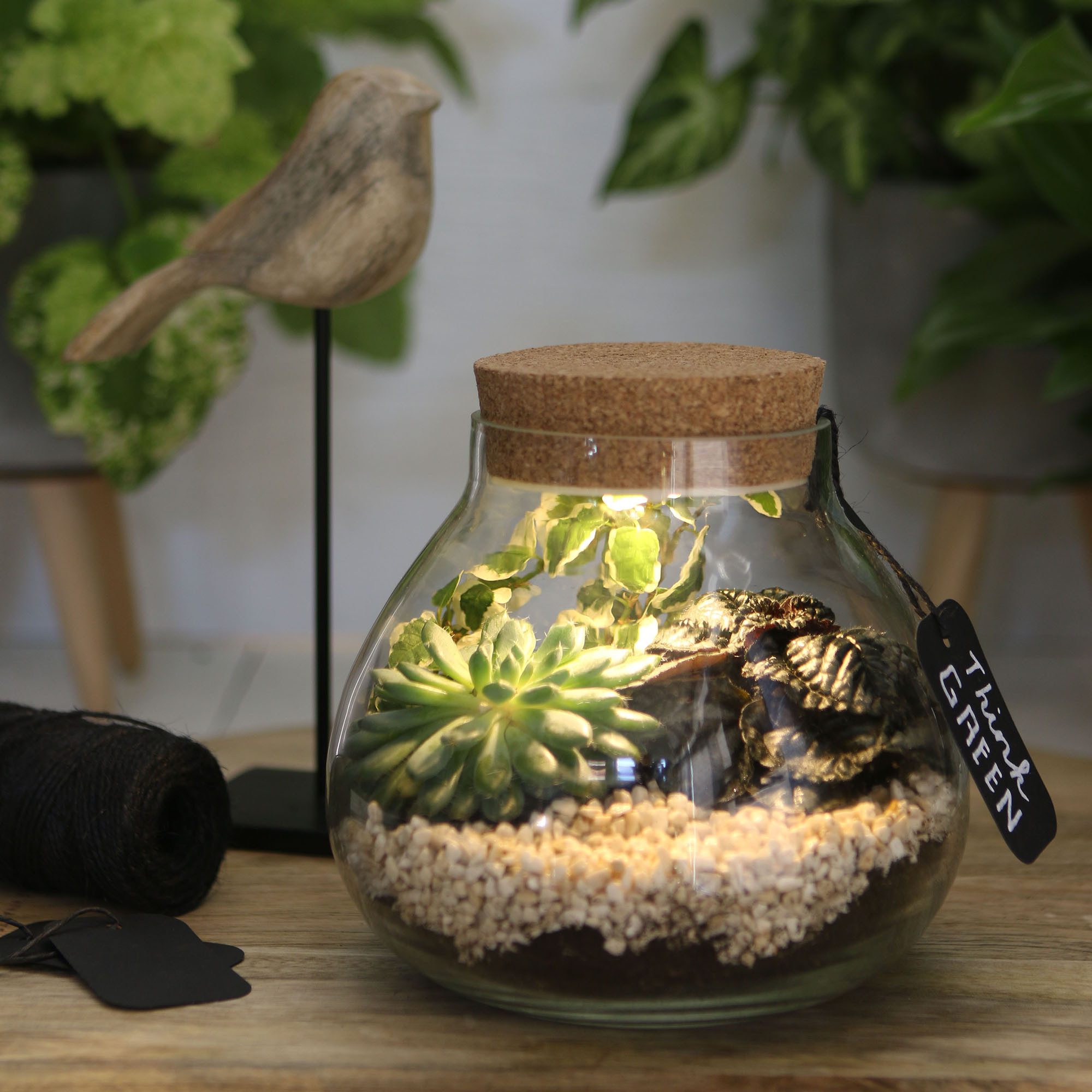 Annastore Übertopf Pflanz-Terrarium mit LED-Beleuchtung - günstig online kaufen