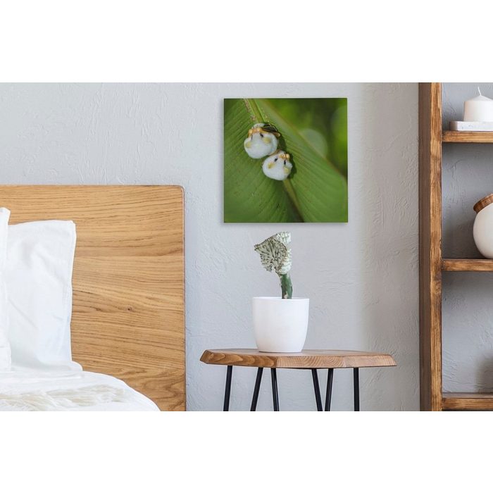 OneMillionCanvasses® Leinwandbild Weiße Fledermäuse auf grünem Blatt (1 St) Leinwand Bilder für Wohnzimmer Schlafzimmer ZR10832