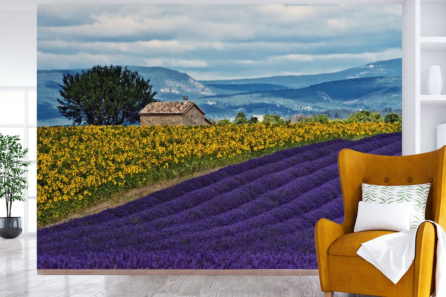 MuchoWow Fototapete Bauernhaus mit Sonnenblumen eines (6 Lavendelfeldes, Wohnzimmer, bedruckt, Nähe St), für Tapete in Montagefertig der Vinyl Matt, Wandtapete
