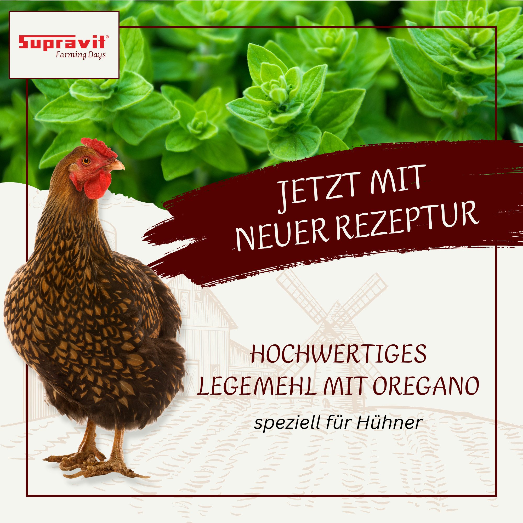 Supravit Legemehl Hühner Oregano -GVO Gentechnik frei - Für stabile Eierschalen, Ergänzungsfutter für: Nutz-/ Wildtier