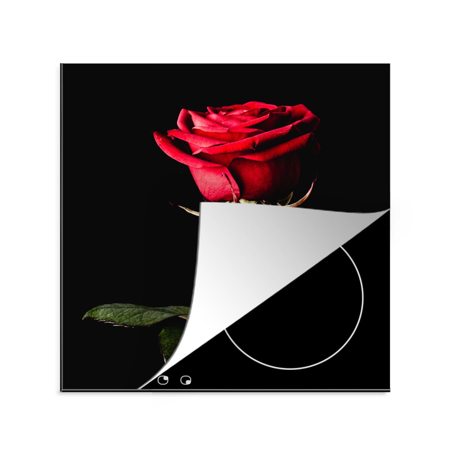 MuchoWow Herdblende-/Abdeckplatte Eine rote küche (1 Rose für auf Vinyl, 78x78 tlg), schwarzem Hintergrund, Ceranfeldabdeckung, cm, Arbeitsplatte