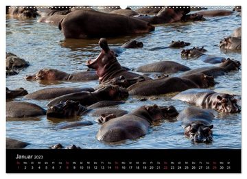 CALVENDO Wandkalender Wildes Afrika (Premium, hochwertiger DIN A2 Wandkalender 2023, Kunstdruck in Hochglanz)