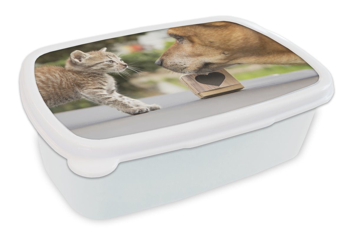 MuchoWow Lunchbox Hund - Katze - Makro, Kunststoff, (2-tlg), Brotbox für Kinder und Erwachsene, Brotdose, für Jungs und Mädchen weiß