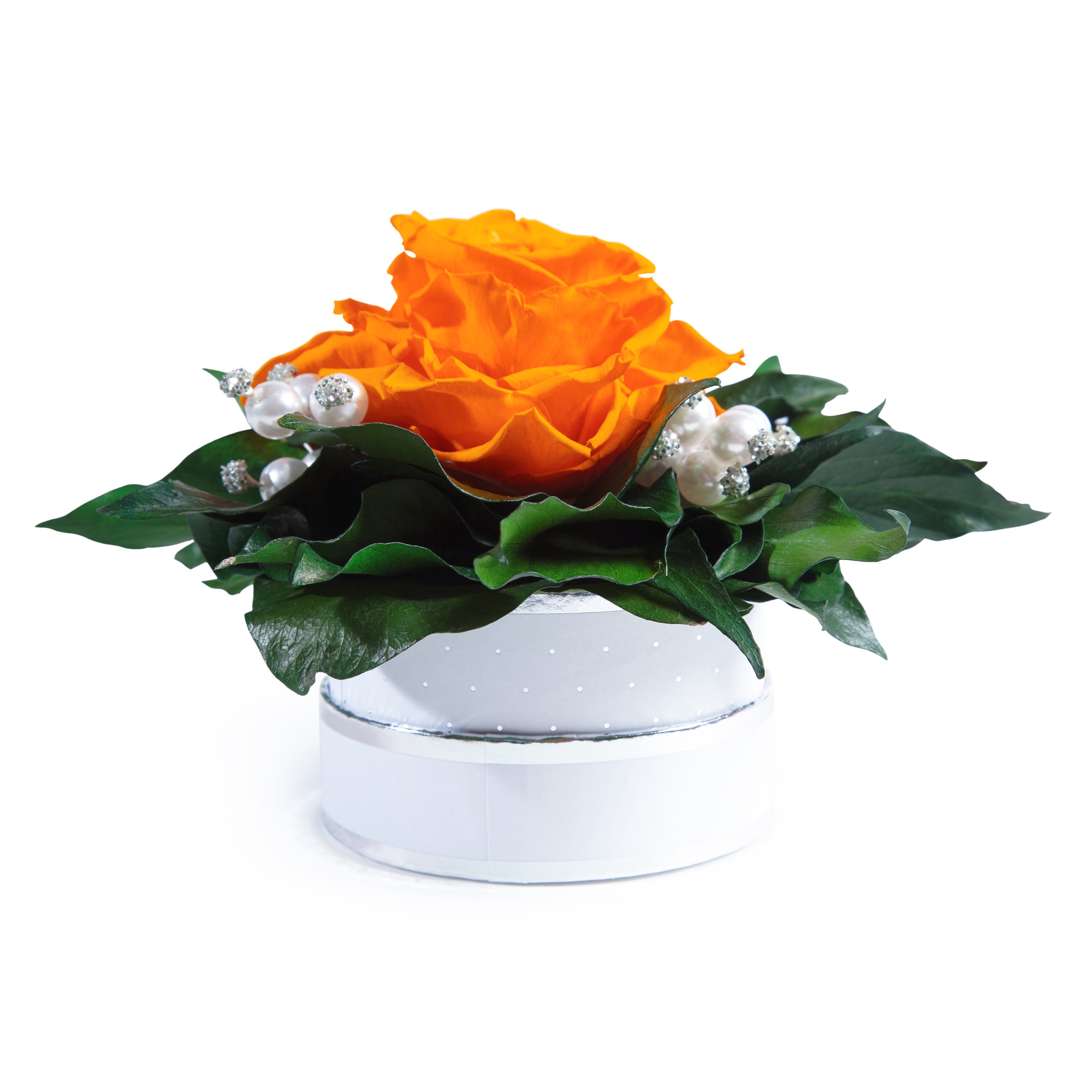 Kunstblume Infinity Rosenbox Diamonds and Pearls günstig online kaufen