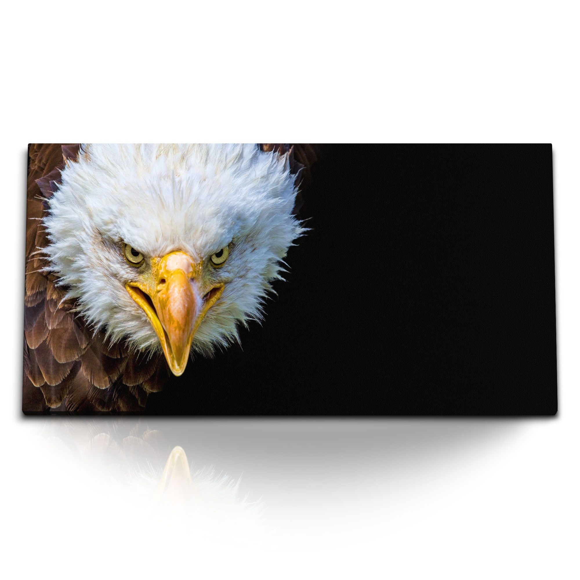 Leinwandbild Kunstdruck Bilder 120x60cm Weißkopfadler Adler Tierfotografie Seeadler