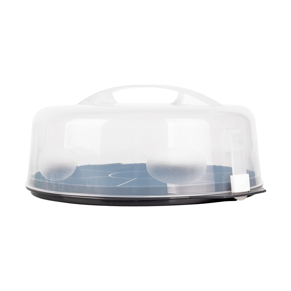 EUROHOME Tortenglocke Tortenbehälter - Kuchenbehälter mit Tragegriff und Klickverschluss,(1-tlg., Kuchencontainer 32 x 14 cm) Sichere Transportbox für Kuchen und Torten