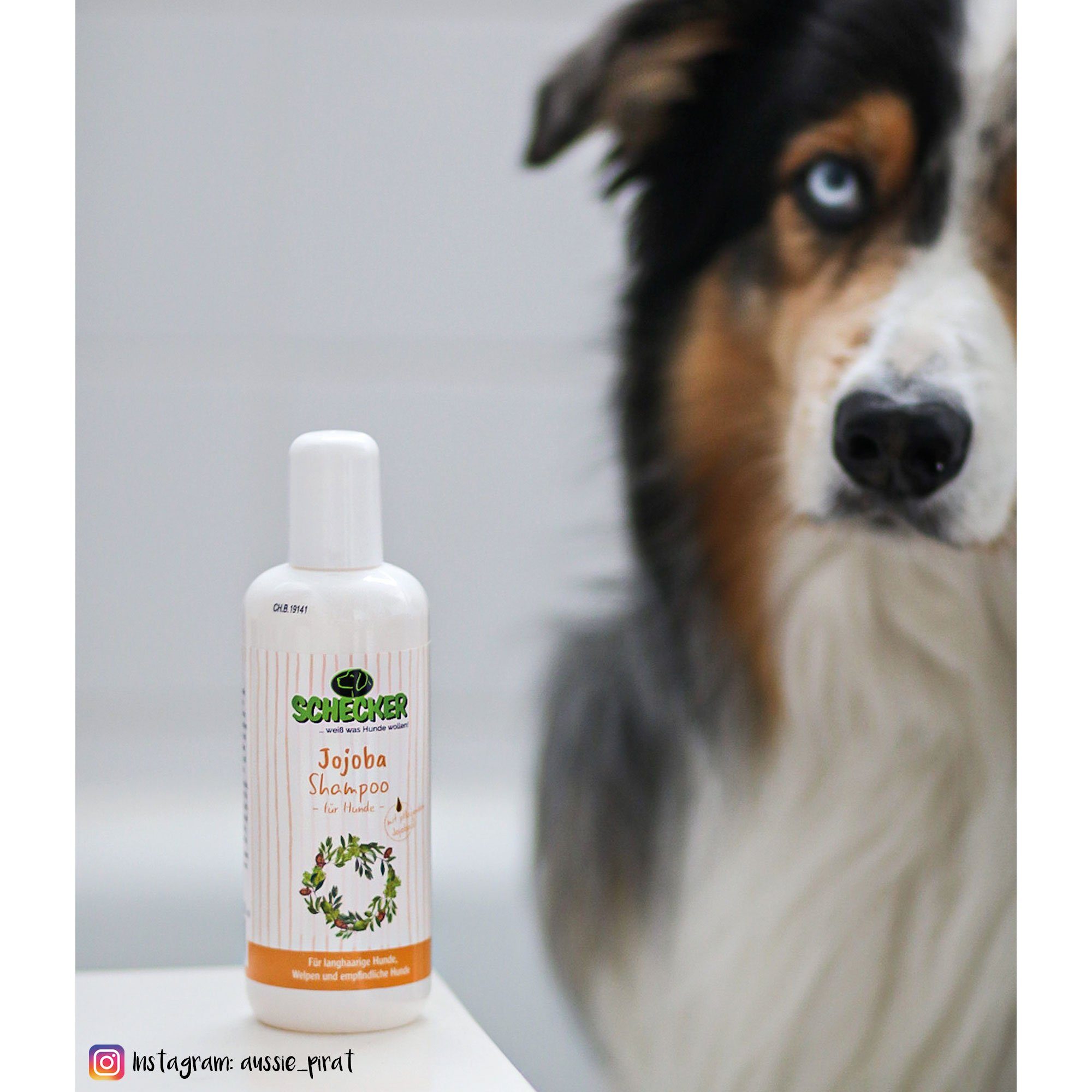 Schecker Tiershampoo Schecker Jojoba Shampoo - mild - pH-neutral, 250.0 ml, (Packung, 1-St), Neutral-Shampoo