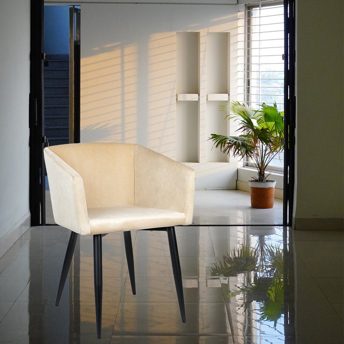 Haushalt International Cocktailsessel Armlehnstuhl beige Samt Stuhl beige  Polsterstuhl beige Esszimmer Stuhl, Pflegeleicht, bis 120 kg belastbar, Samt -Optik