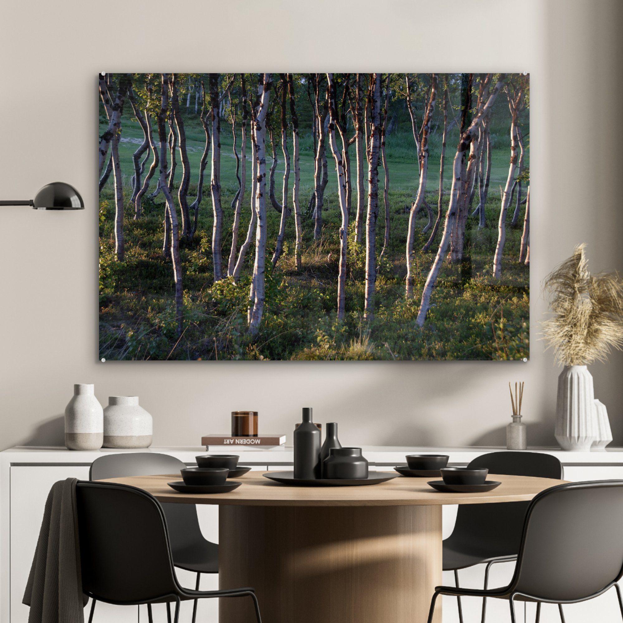 St), Schlafzimmer & im Acrylglasbild Abisko-Nationalpark (1 Acrylglasbilder in Schweden, Wohnzimmer Birkenwald MuchoWow