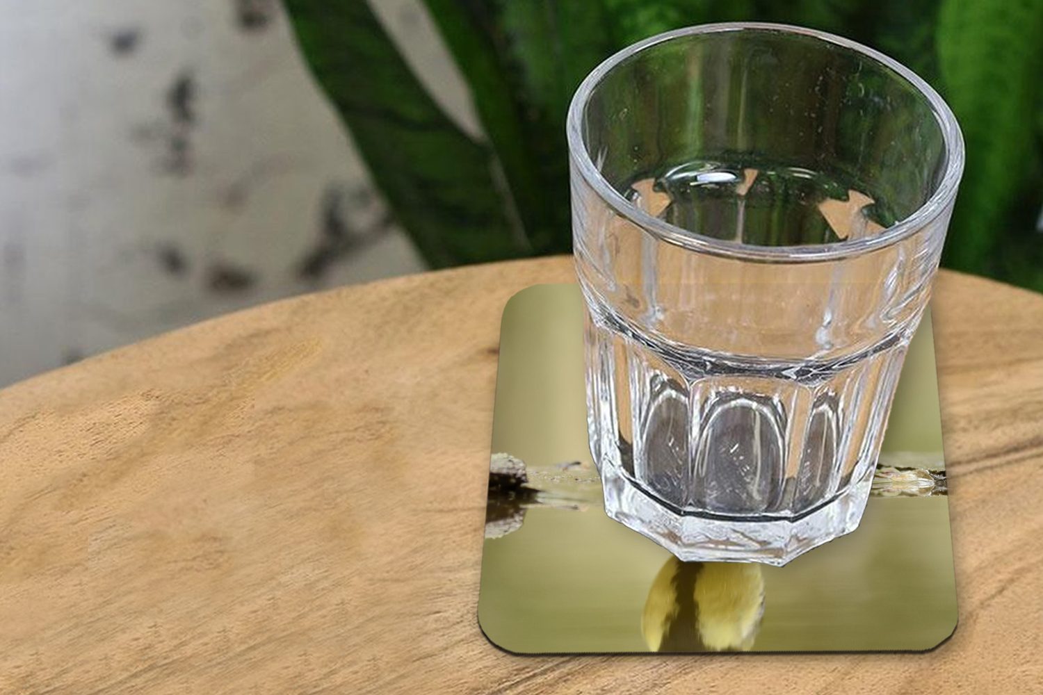 Korkuntersetzer, Tischuntersetzer, Zubehör Tasse Große Wasser, 6-tlg., spiegelt im Meise sich Untersetzer, für Glasuntersetzer Gläser, MuchoWow Glasuntersetzer,