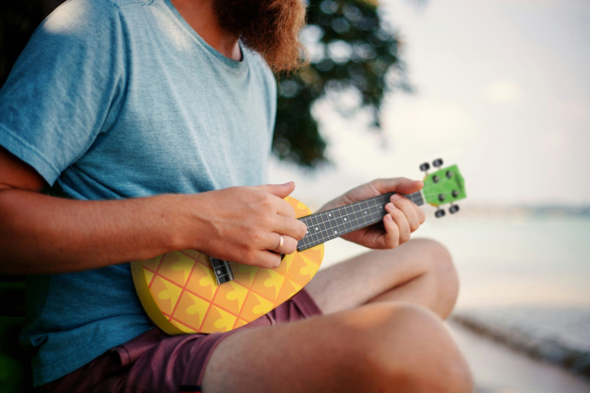 Classic Cantabile Ukulele UC-240, Konzert-Ukulele Pineapple, Inklusive Gigbag, Leichtgängige Gitarren-Mechanik