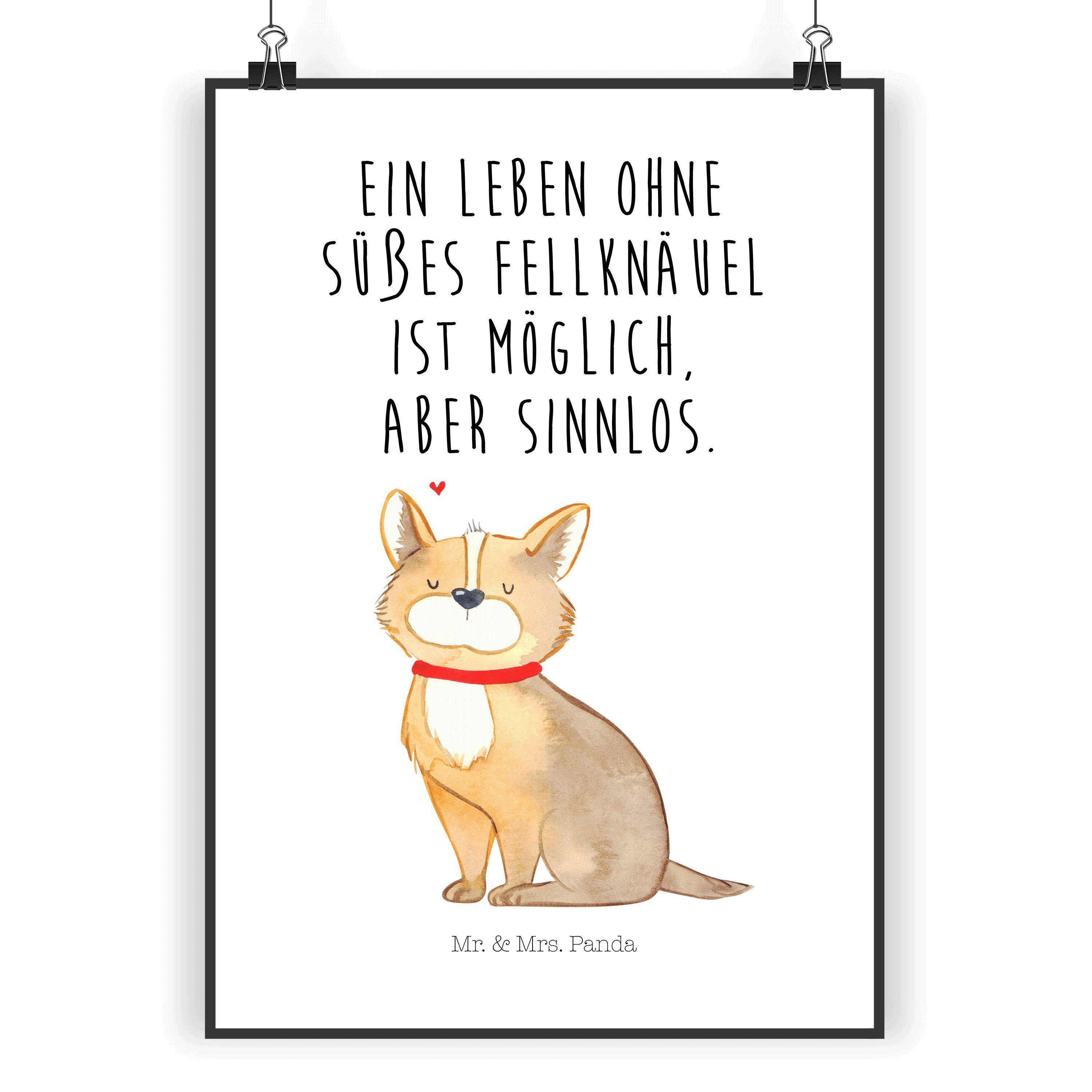 Poster DIN A5 Hundeglück - Weiß - Geschenk, Wandposter, Haustier, Hundeliebe