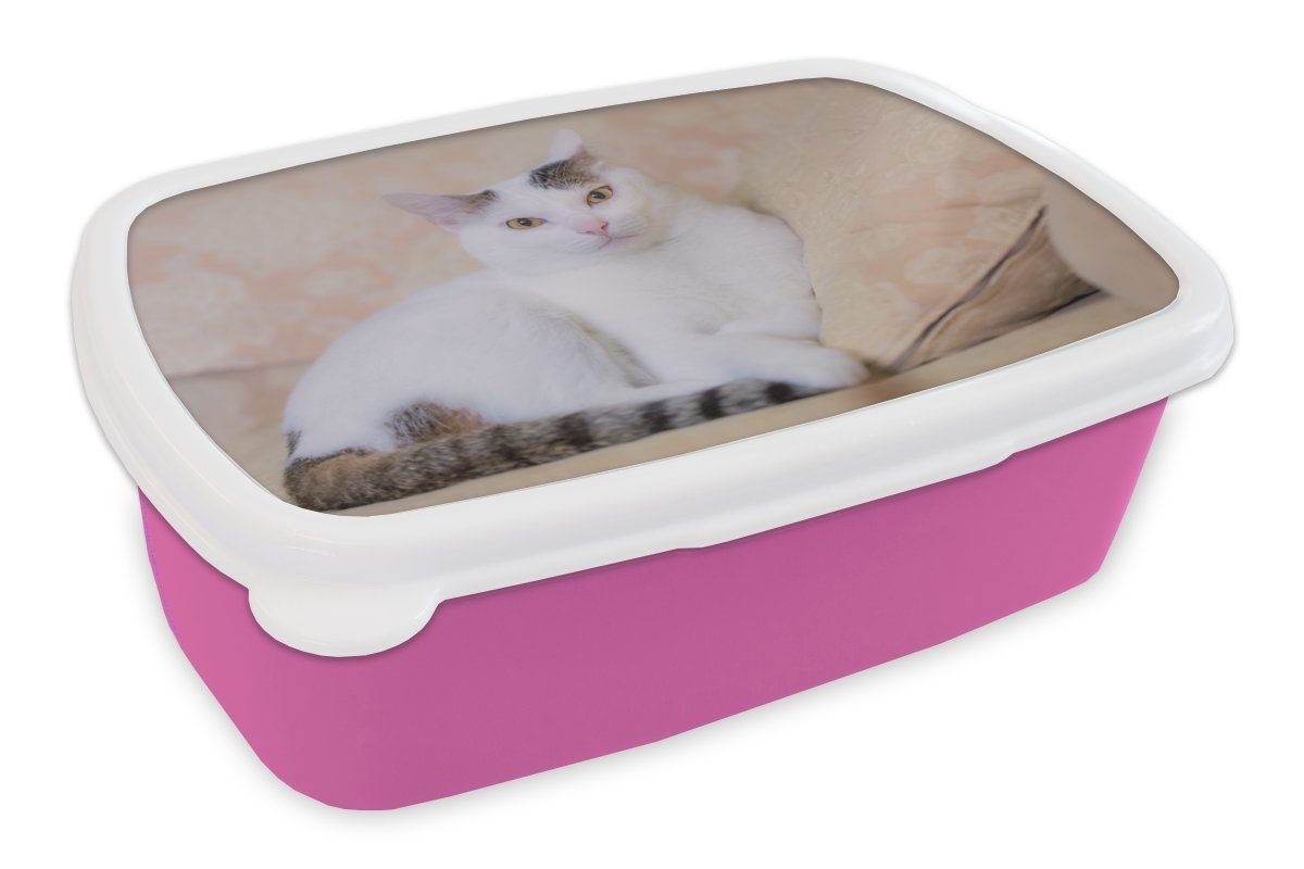 MuchoWow Lunchbox Katze - Weiß - Bank - Mädchen - Kinder - Jungen - Kinder, Kunststoff, (2-tlg), Brotbox für Erwachsene, Brotdose Kinder, Snackbox, Mädchen, Kunststoff rosa