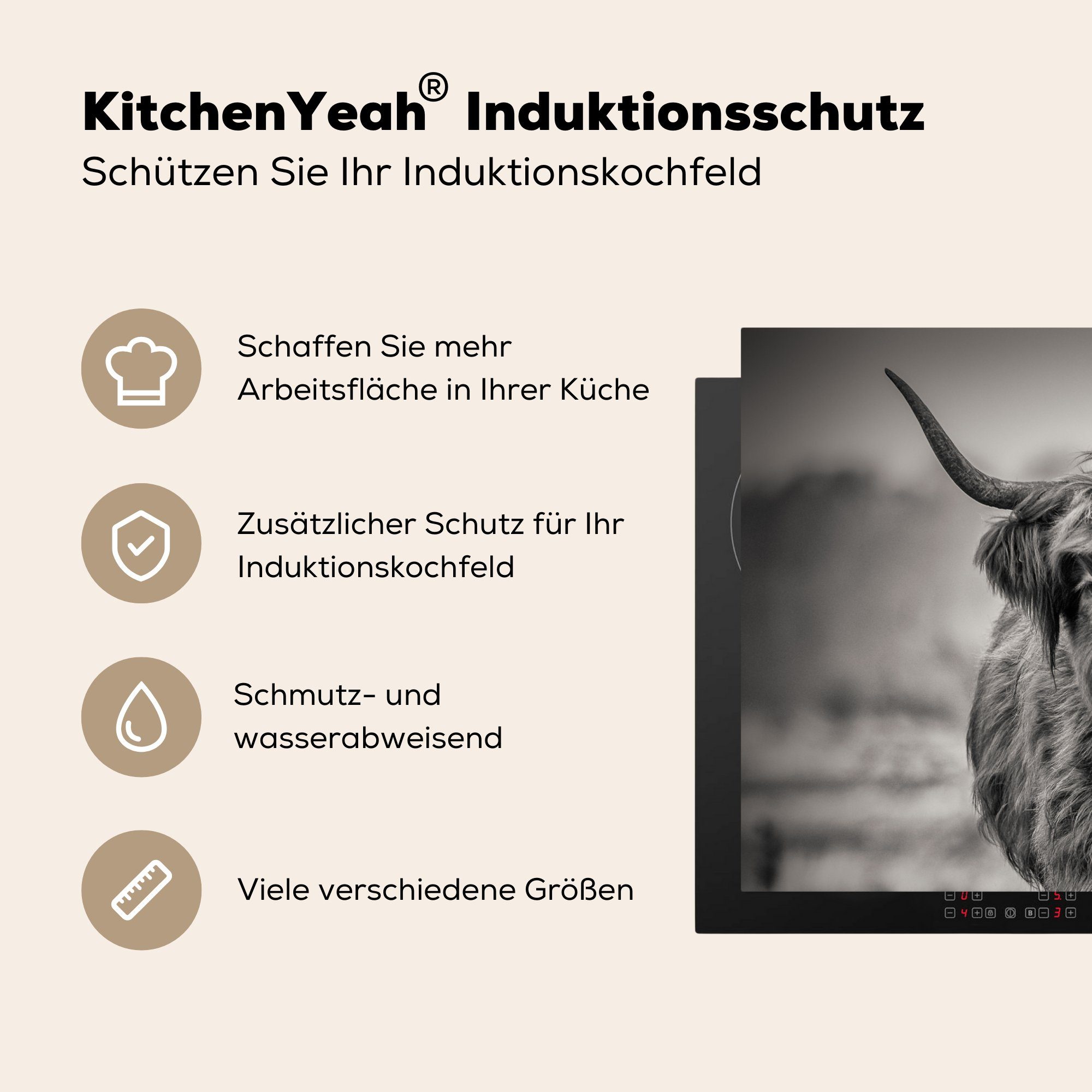 die (1 Schutz cm, Highlander Schwarz Schottischer und - tlg), Herdblende-/Abdeckplatte Ceranfeldabdeckung MuchoWow küche, Weiß, für Induktionskochfeld Vinyl, 81x52