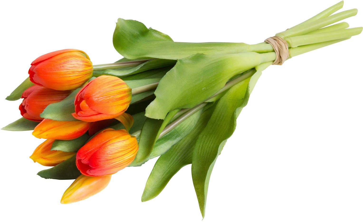 Kunstblume Willa Tulpe, Botanic-Haus, Höhe 32 cm, Tulpenbündel im 7er-Set günstig online kaufen