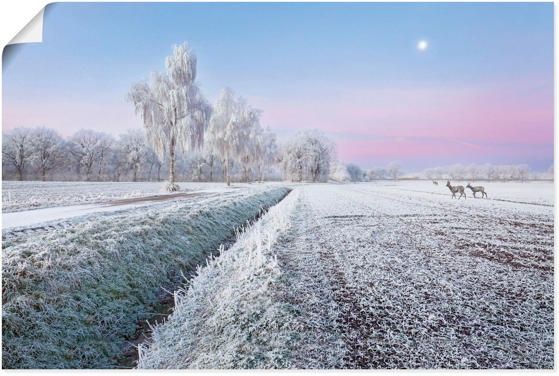 Artland Wandbild Ein kurzweiliges Wintermärchen, Vier Jahreszeiten Bilder (1 St), als Alubild, Leinwandbild, Wandaufkleber oder Poster in versch. Größen