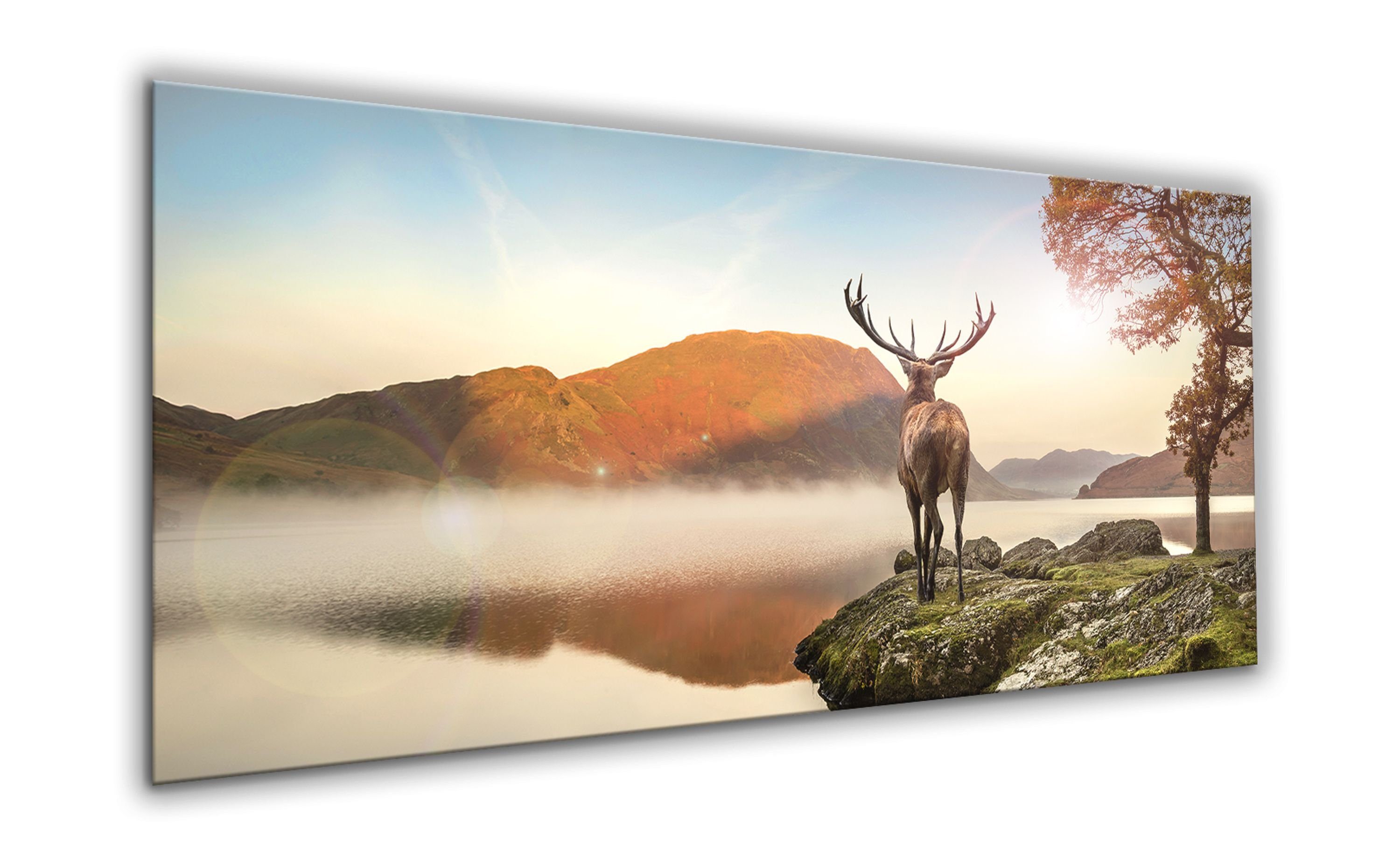 artissimo Glasbild Glasbild XXL 125x50 cm Bild aus Glas Wandbild groß Natur  Tiere braun, Berge: Hirsch am See | Poster